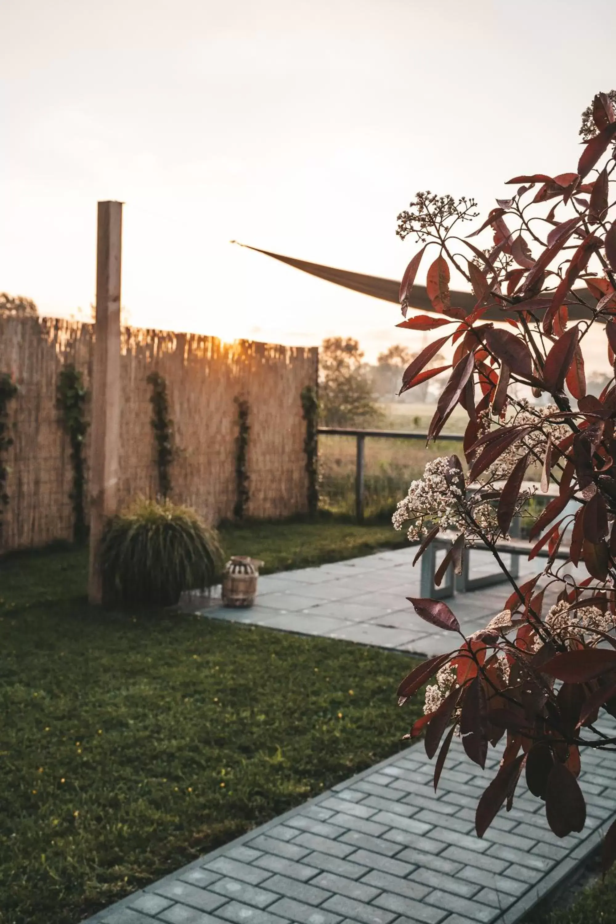 Garden in B&B De Terpen