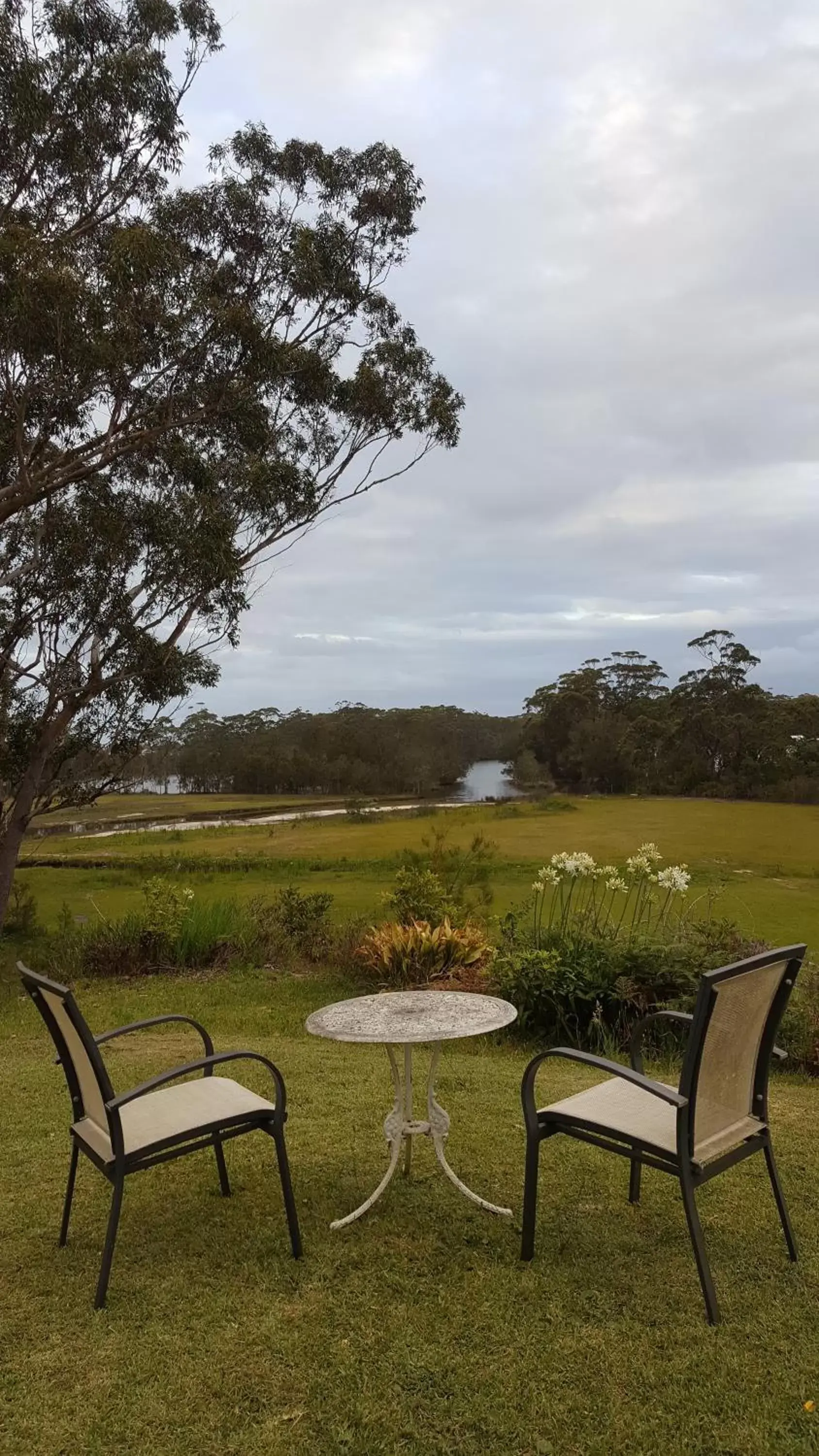 Garden in Tabourie Lake Motor Inn