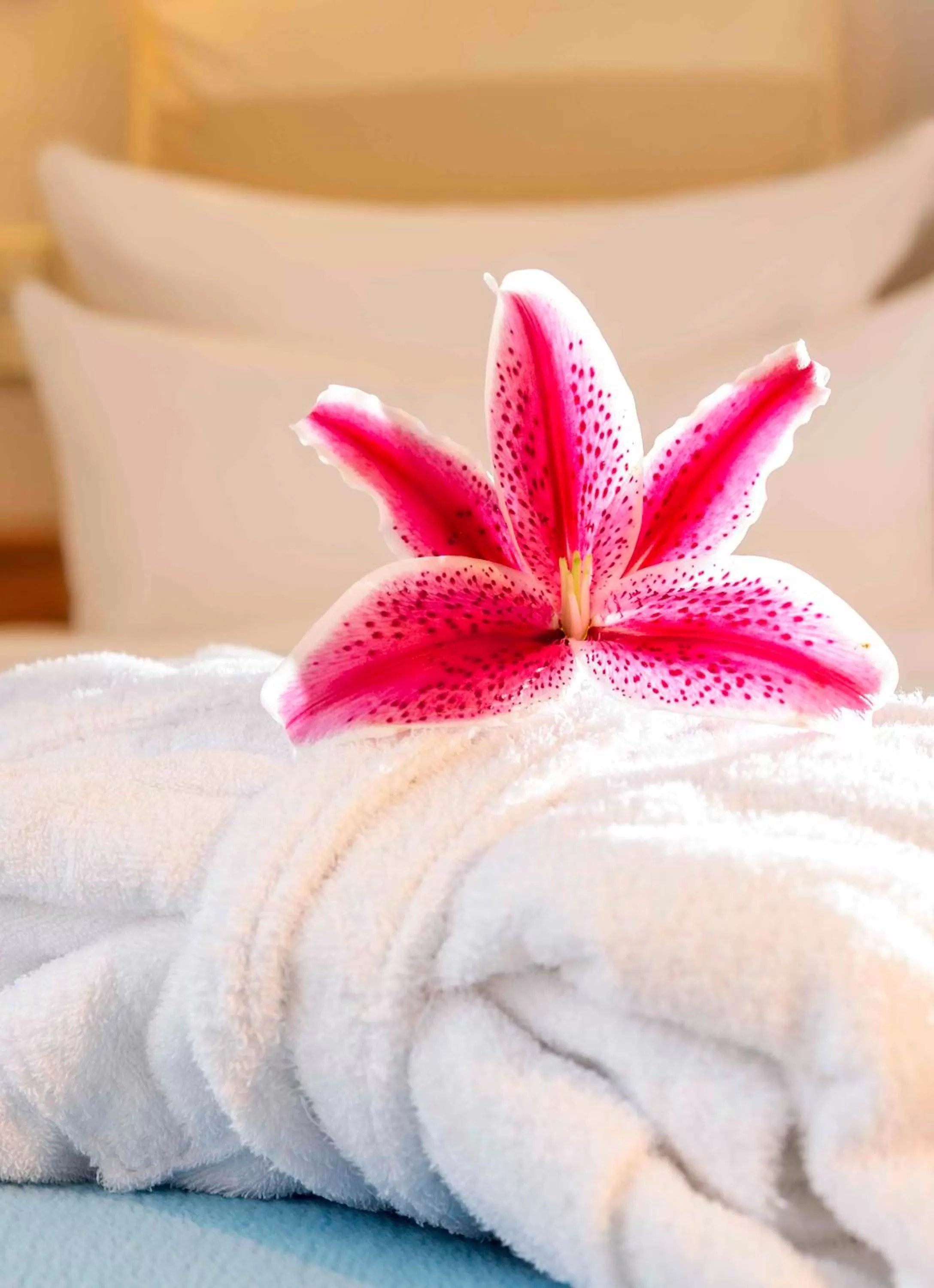 Decorative detail, Bed in Seeschloss Sellin