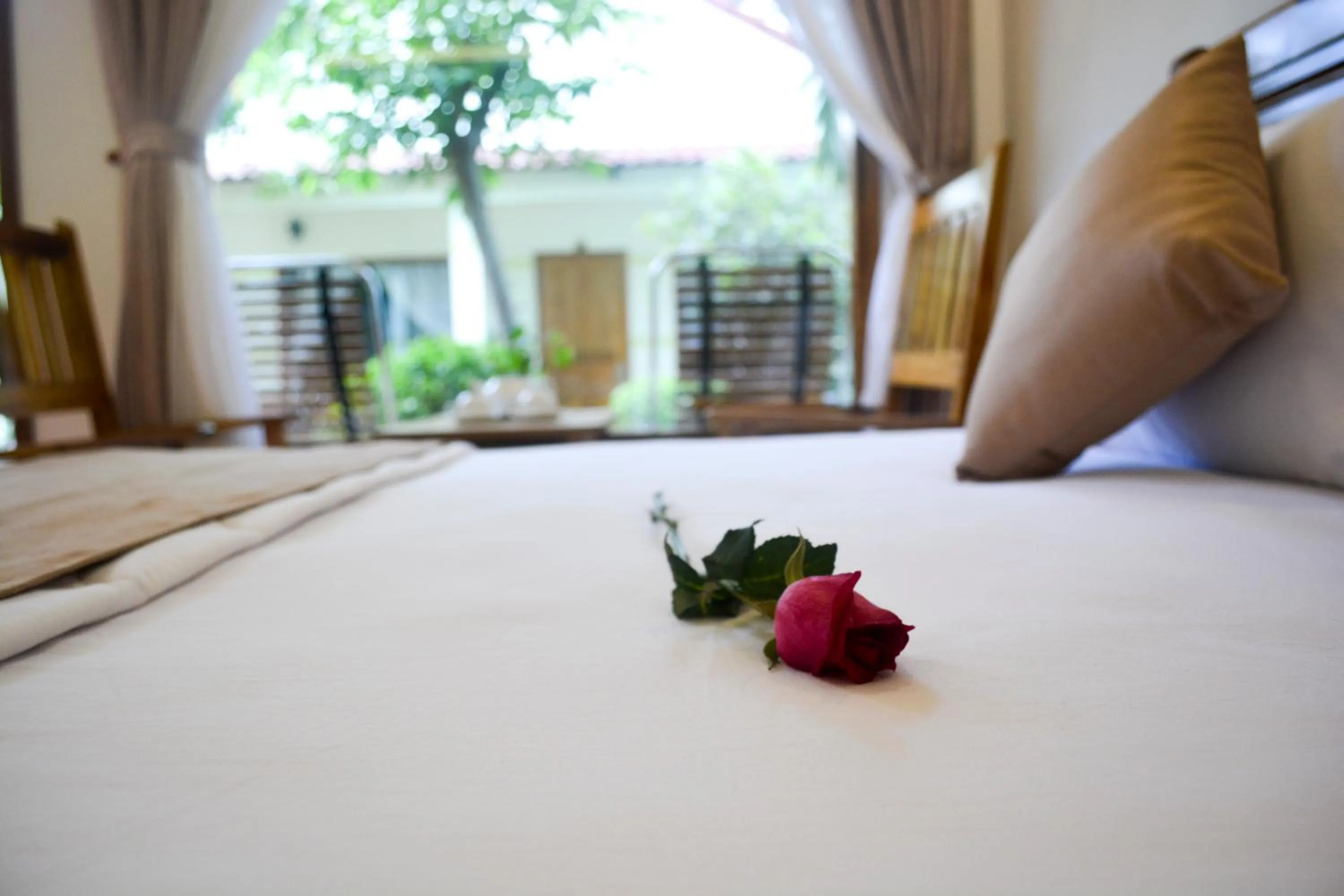 Bedroom, Bed in Ngoc Viet Bungalow