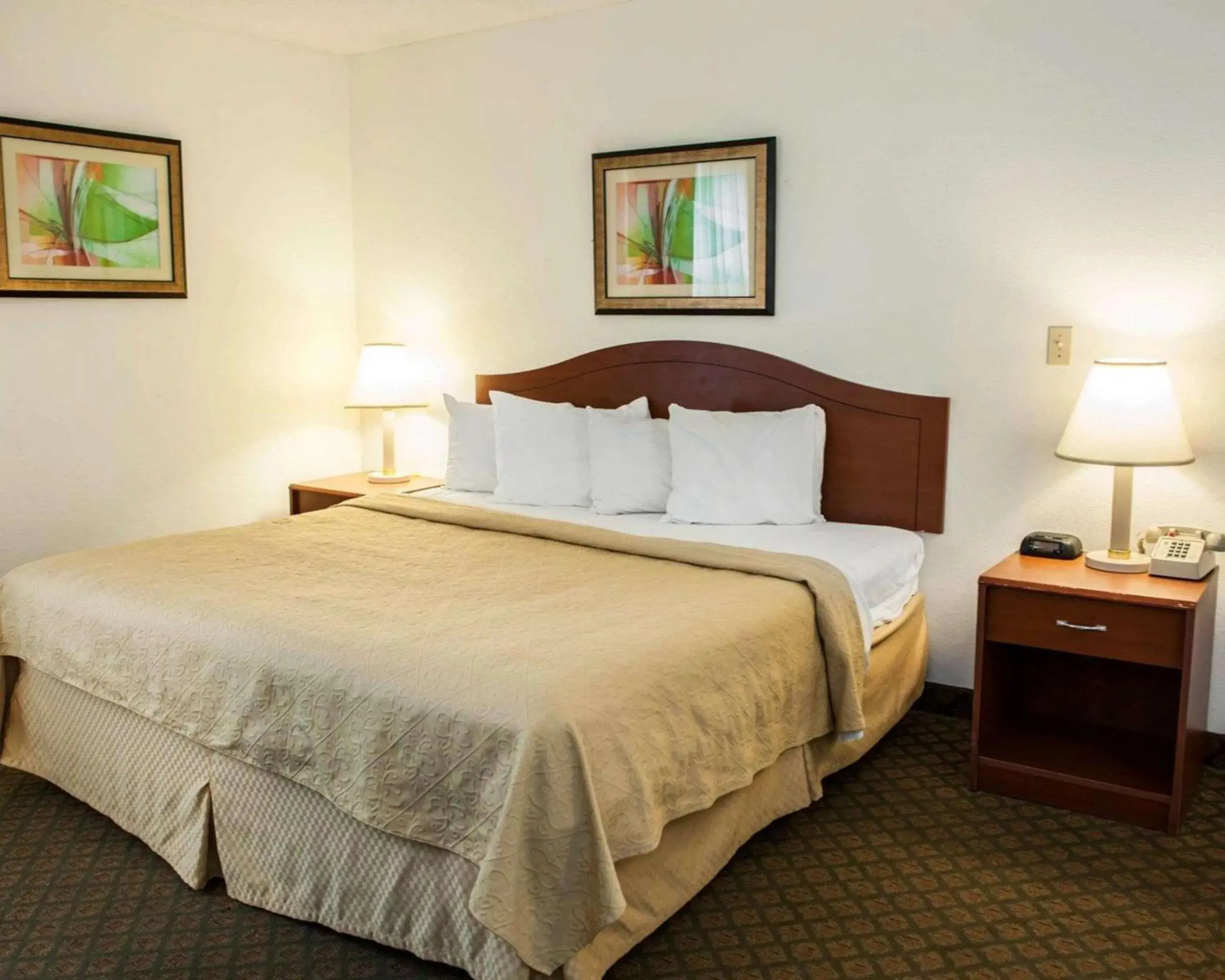 Photo of the whole room, Bed in Quality Inn and Suites Indianapolis