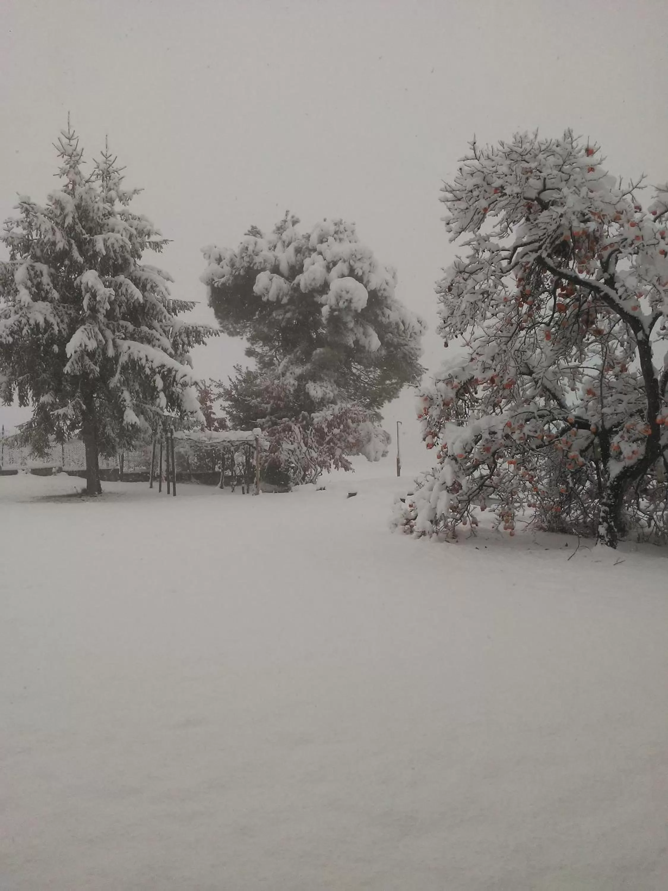 Natural landscape, Winter in Cascina Torello