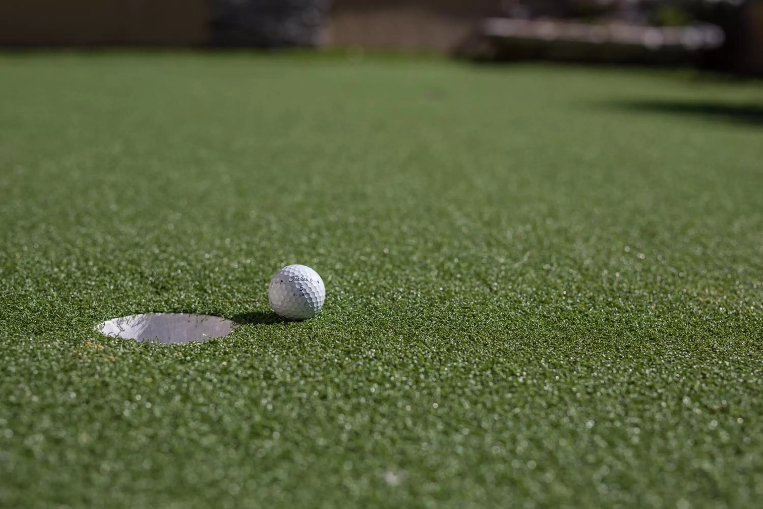 Activities in Stage Coach Lodge