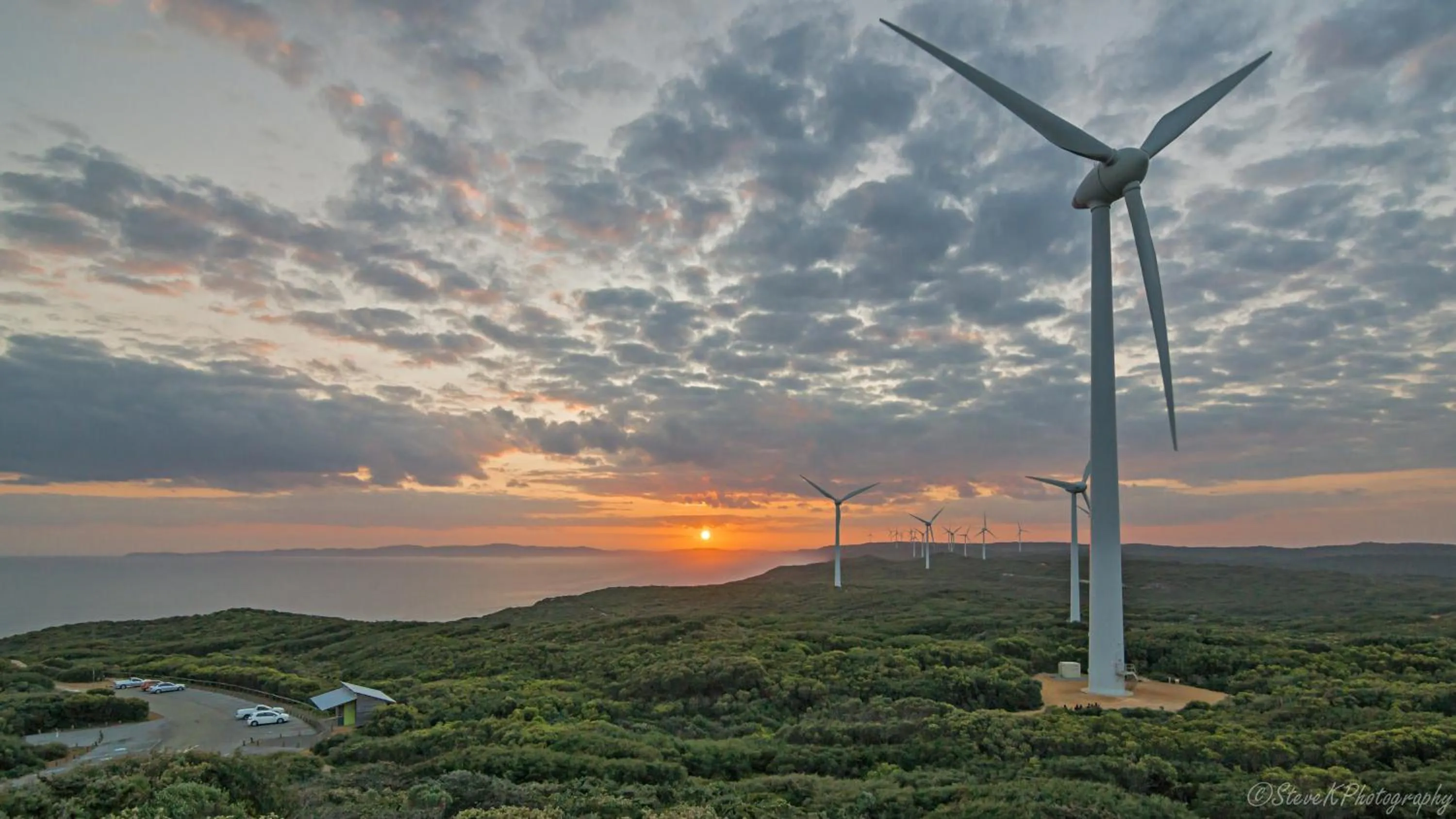 Spring in Ace Accommodation Albany