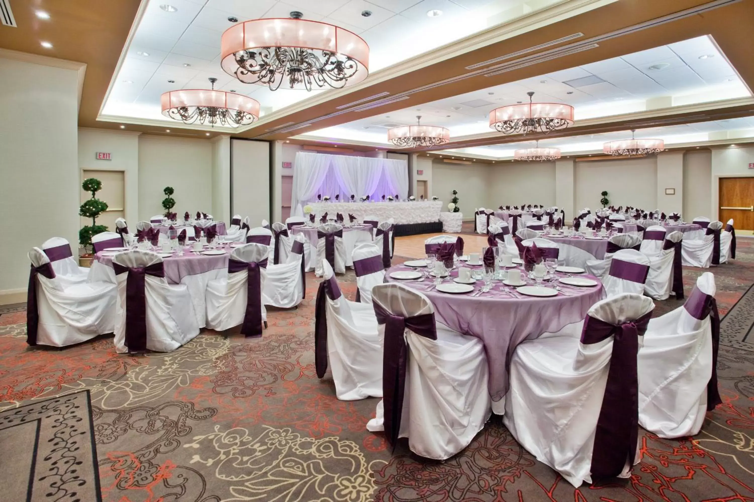 Banquet/Function facilities, Banquet Facilities in Holiday Inn & Suites Ottawa Kanata, an IHG Hotel