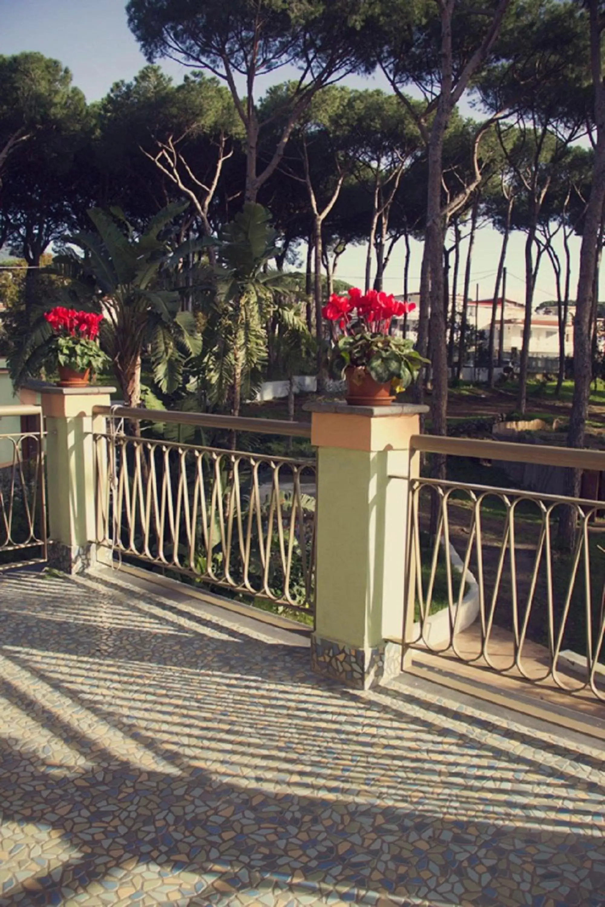 Balcony/Terrace in Al Corbezzolo