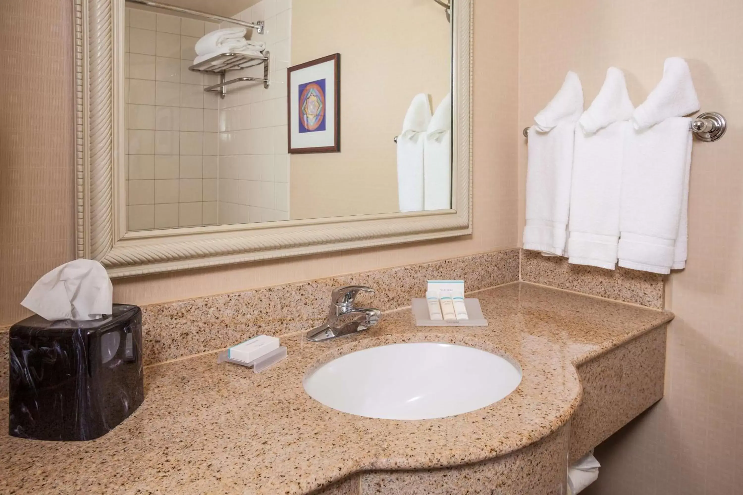 Bathroom in Hilton Garden Inn El Paso University