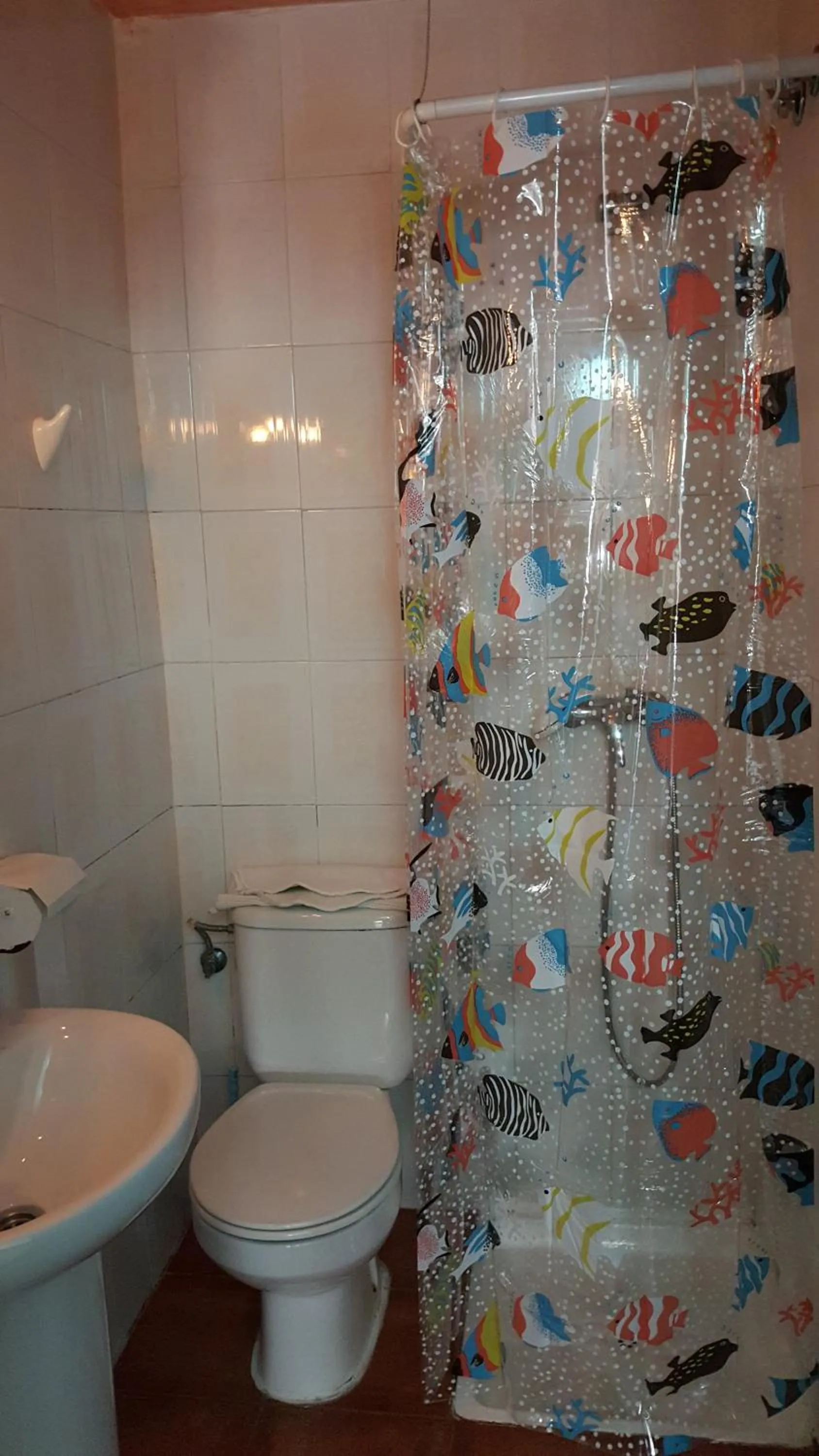 Bathroom in Giraldilla