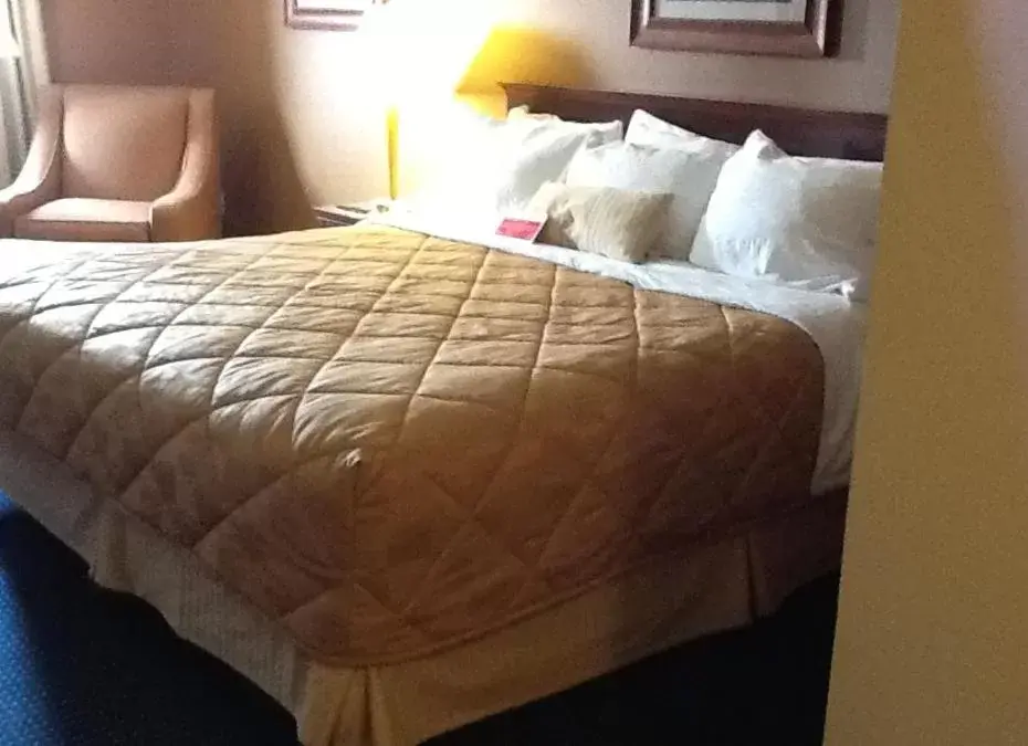 Bed in Ramada Hotel Ashland-Catlettsburg