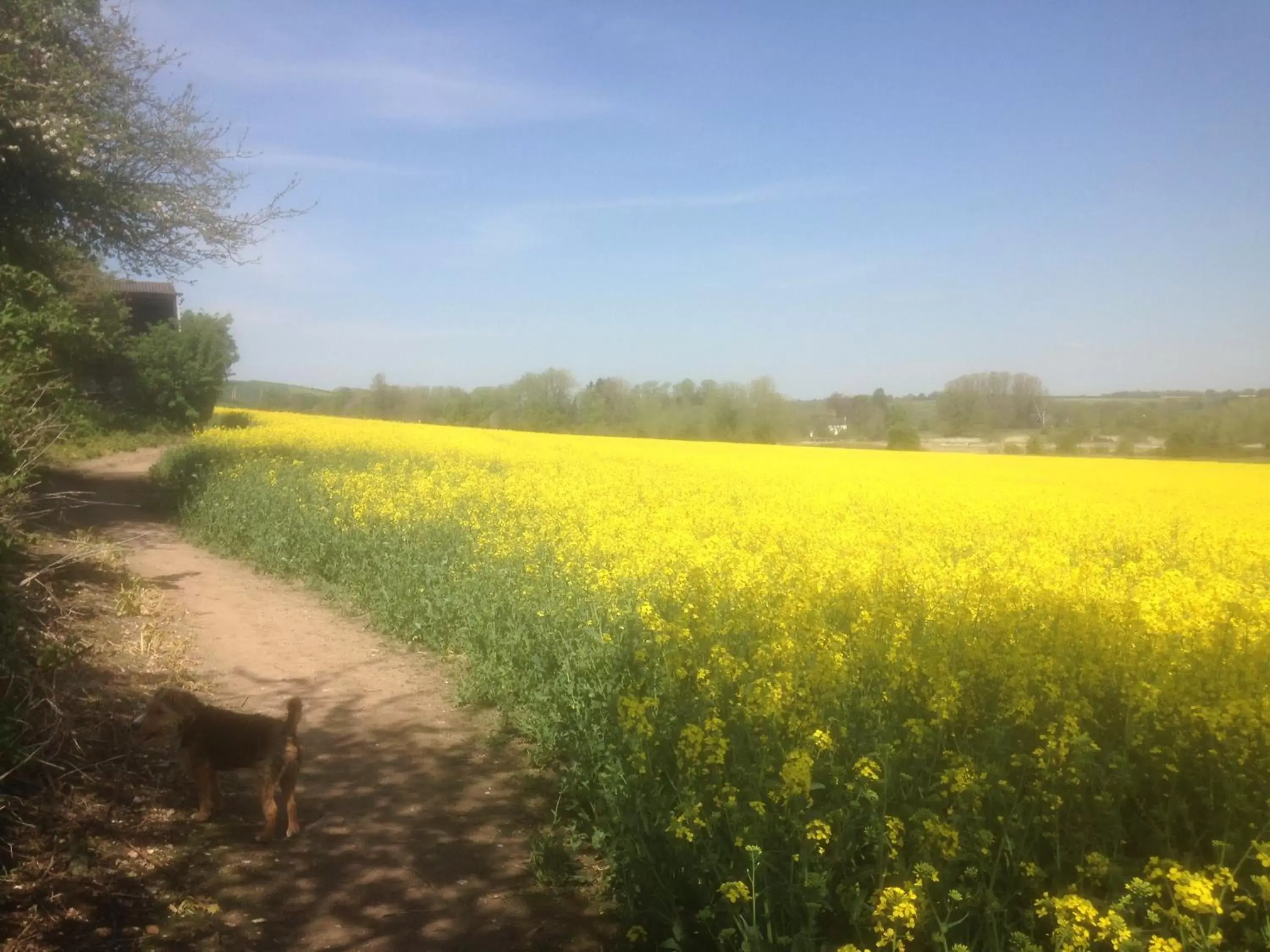 Natural landscape in Taylors Guesthouse