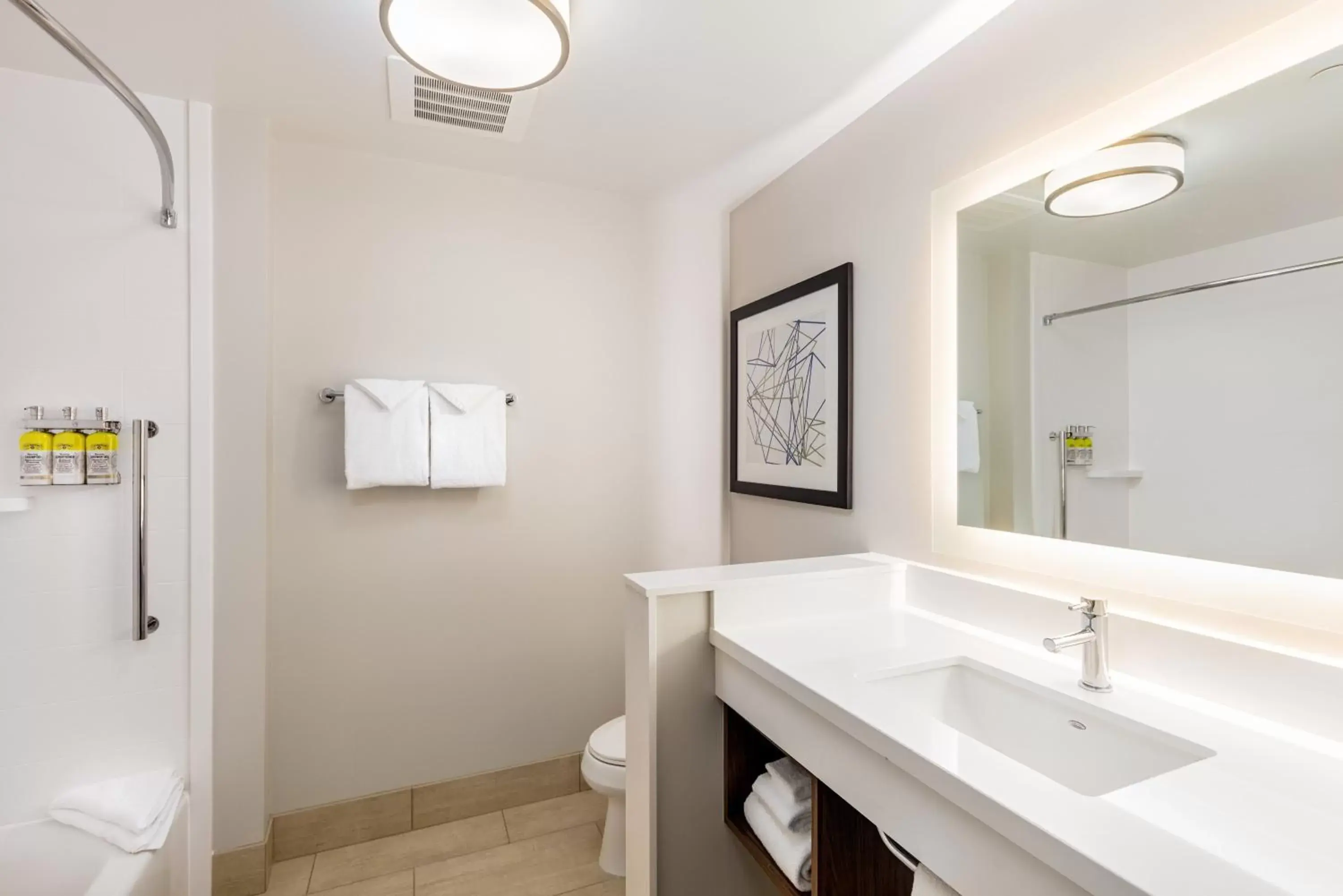 Bathroom in Holiday Inn Express & Suites - Moreno Valley - Riverside, an IHG Hotel