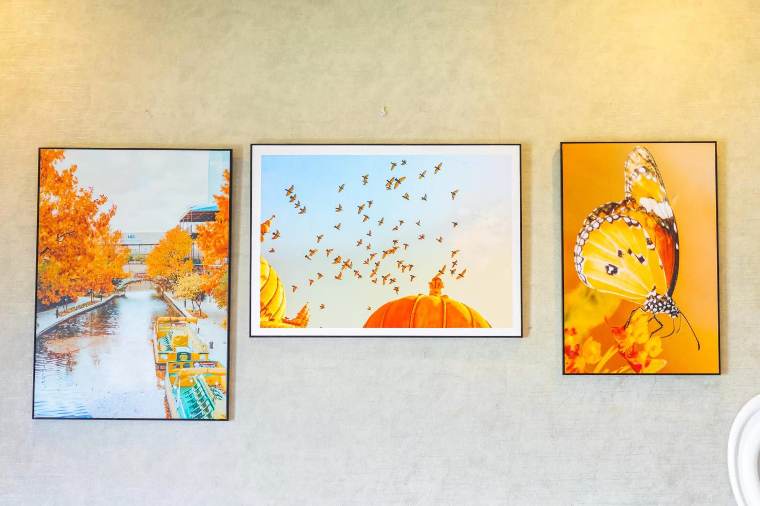 hair dresser in Ngàn Phố Studio & Love Hotel