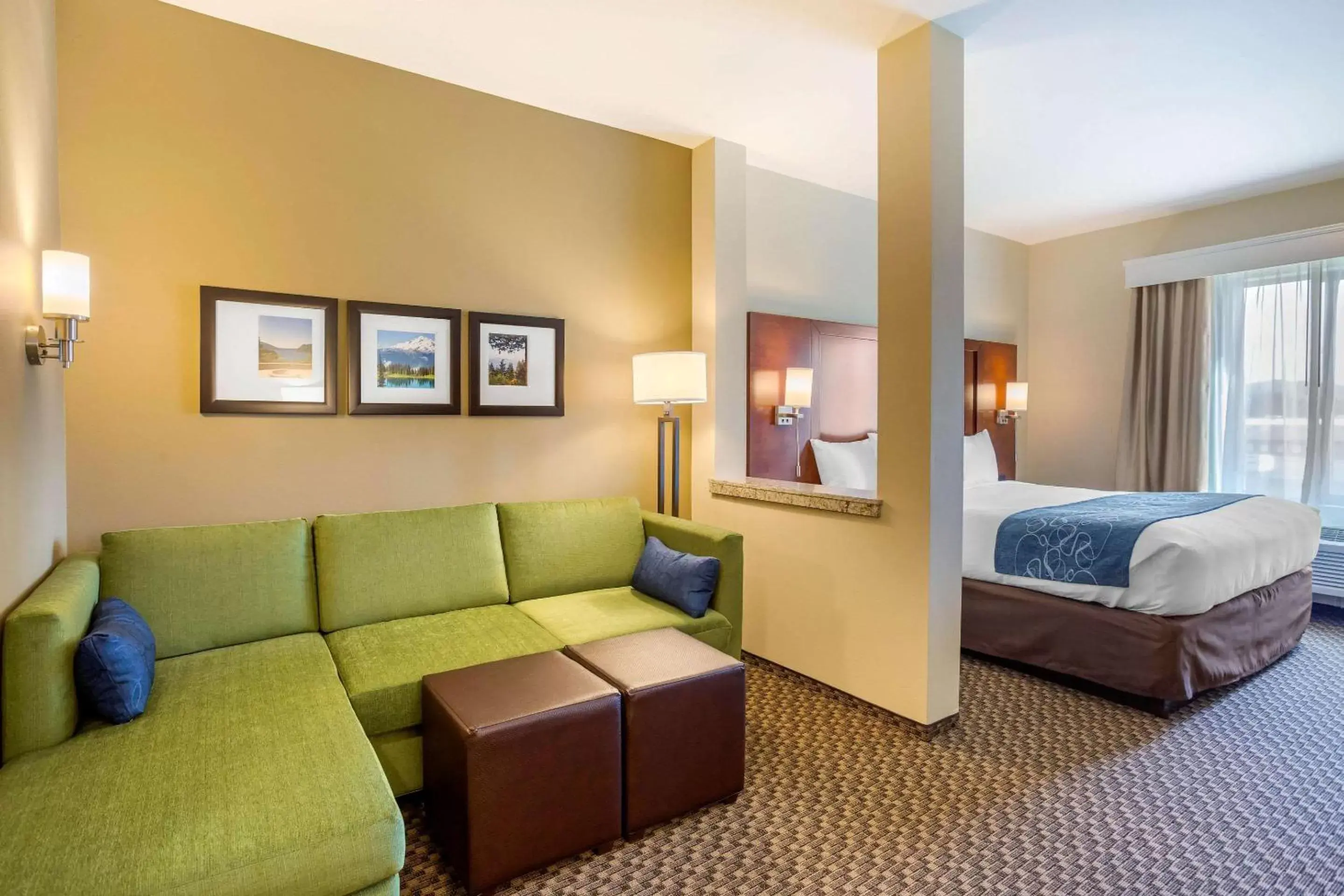 Photo of the whole room in Comfort Suites Burlington near I-5