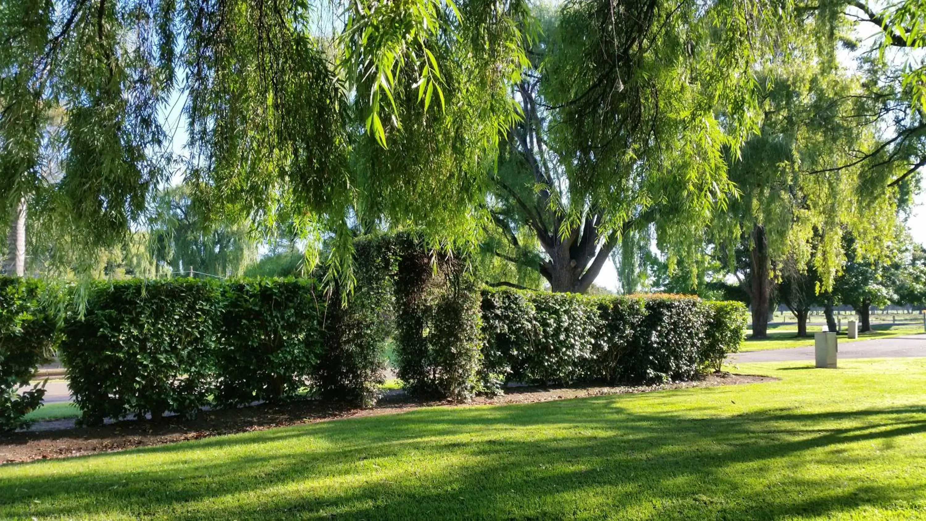 Garden in Moruya Motel