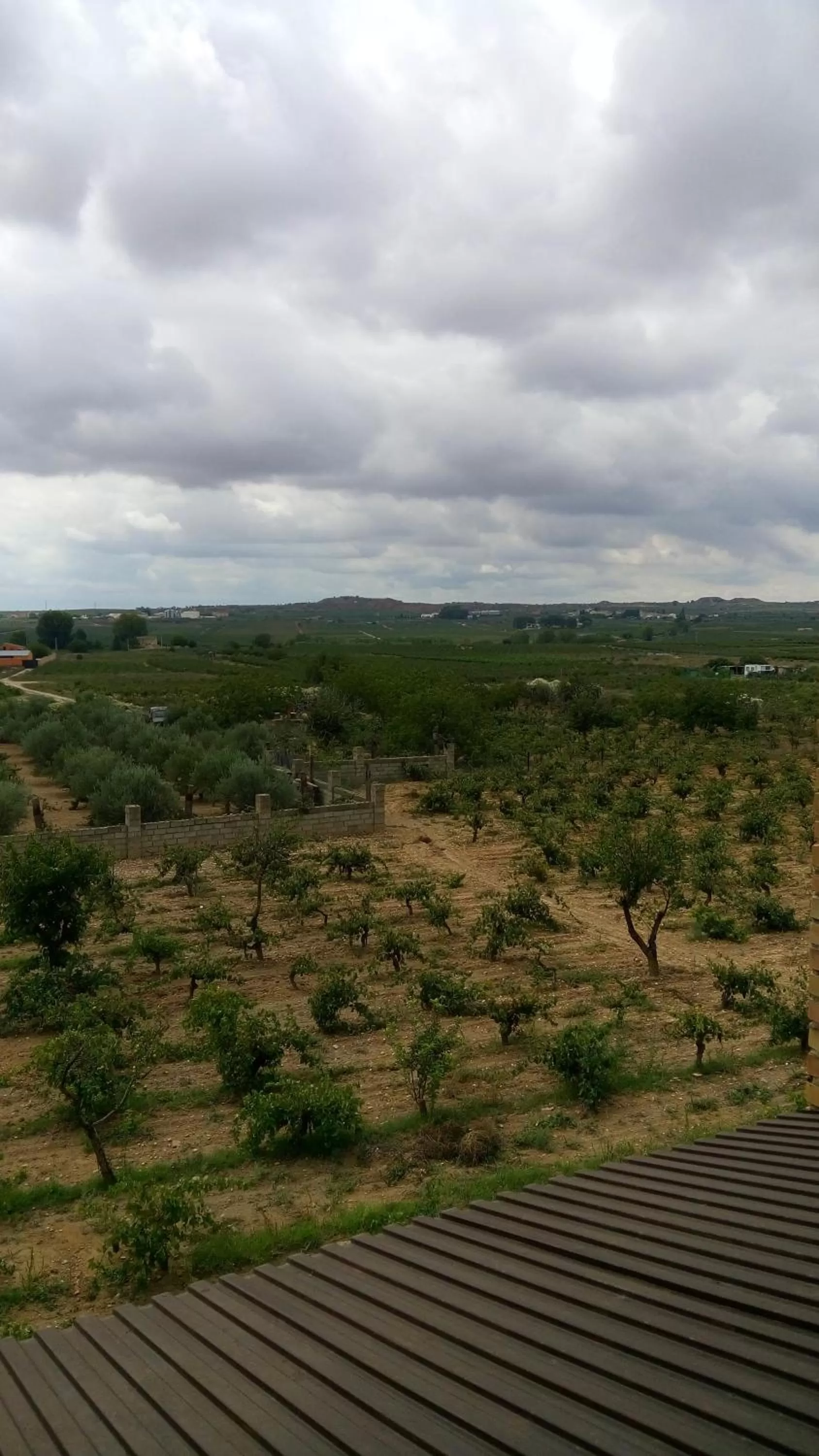 Other in Hotel-Motel Sol II