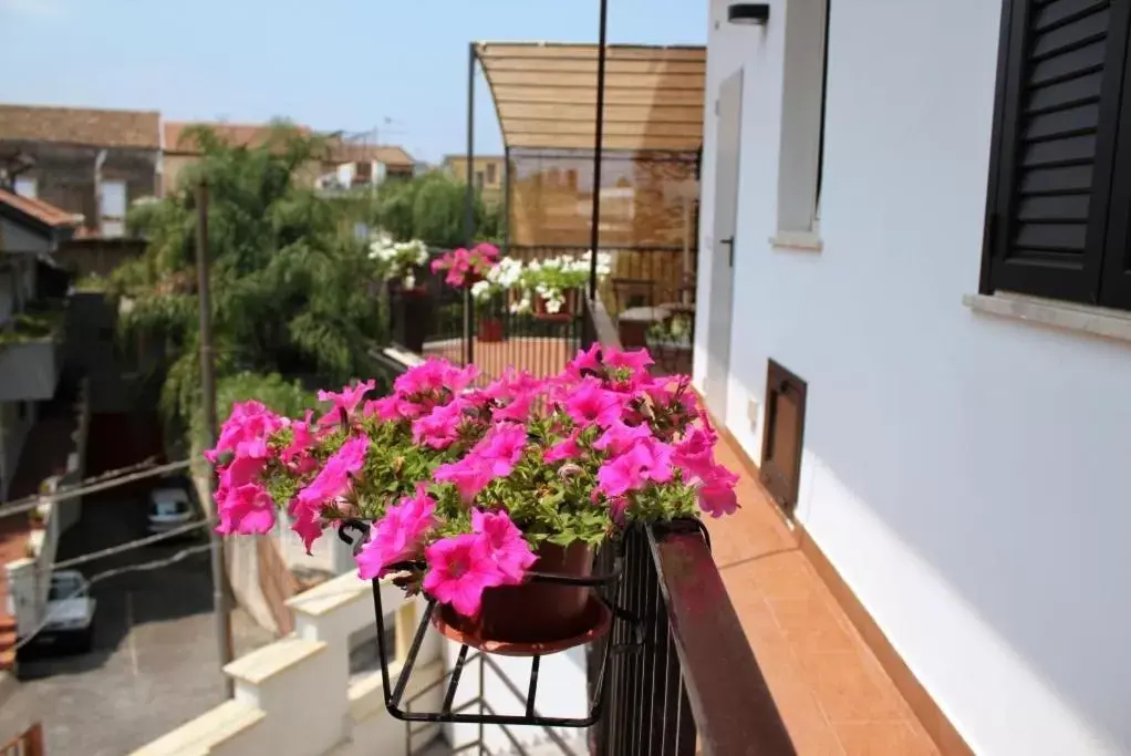 Balcony/Terrace in Tortugas B&B