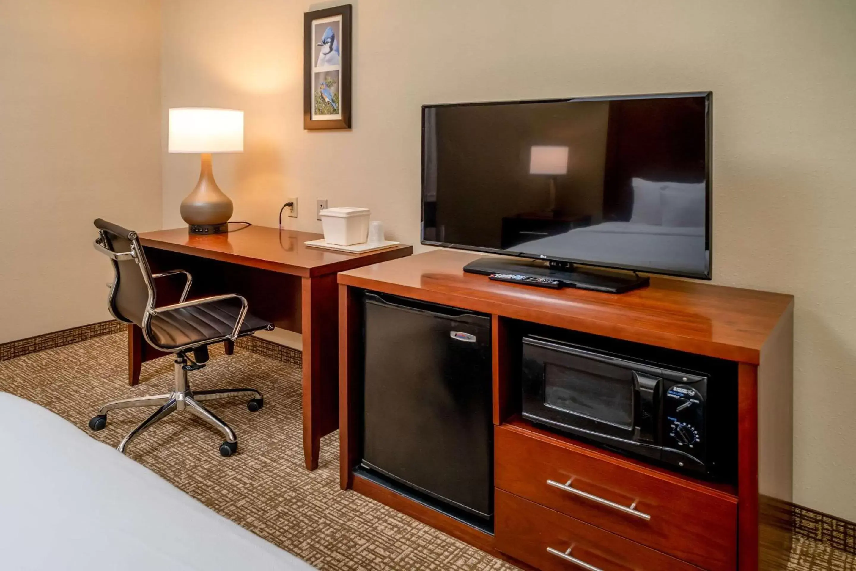 Photo of the whole room, TV/Entertainment Center in Comfort Inn & Suites Grundy