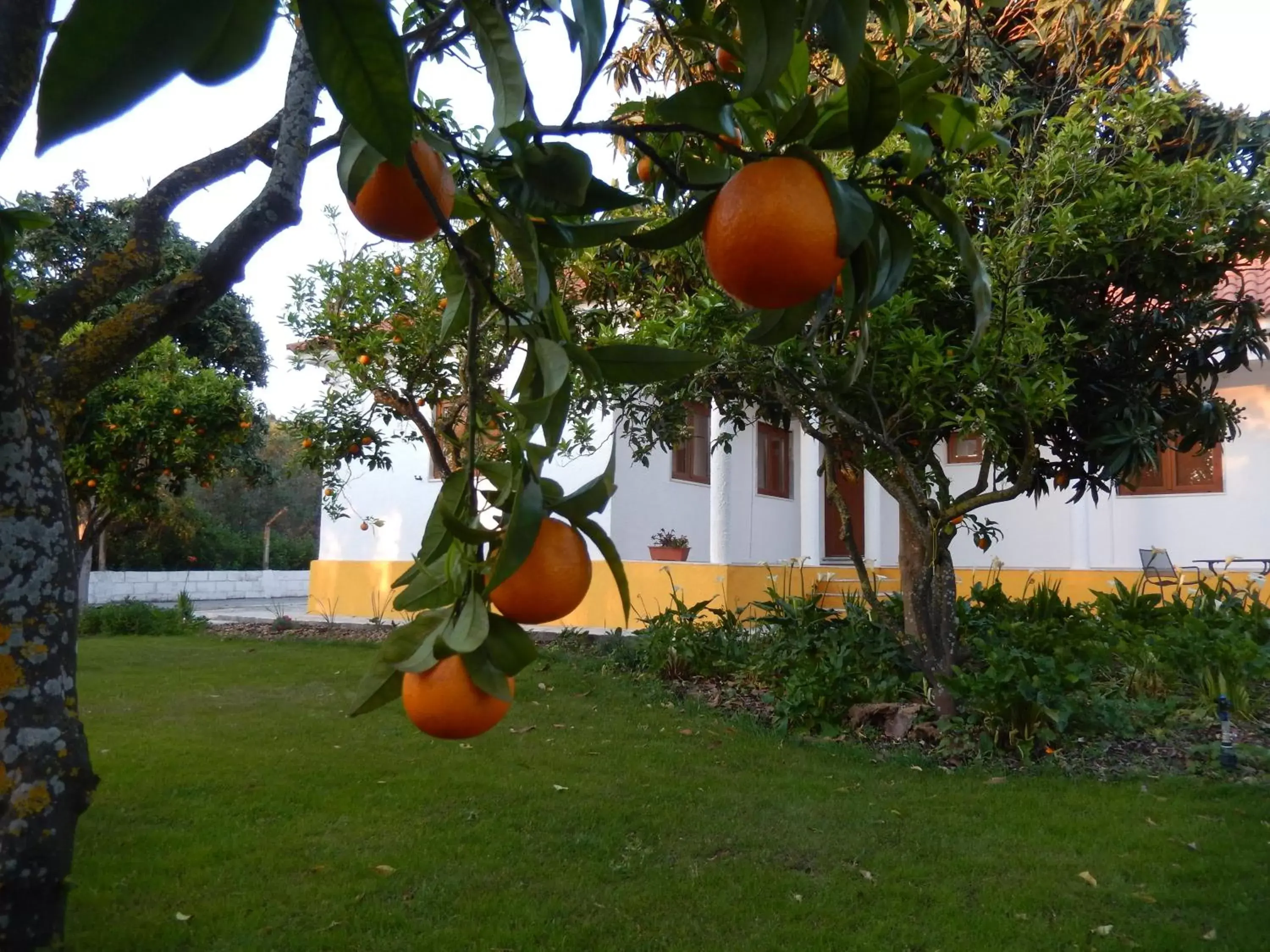 Garden in Quinta Laranjal da Arrabida