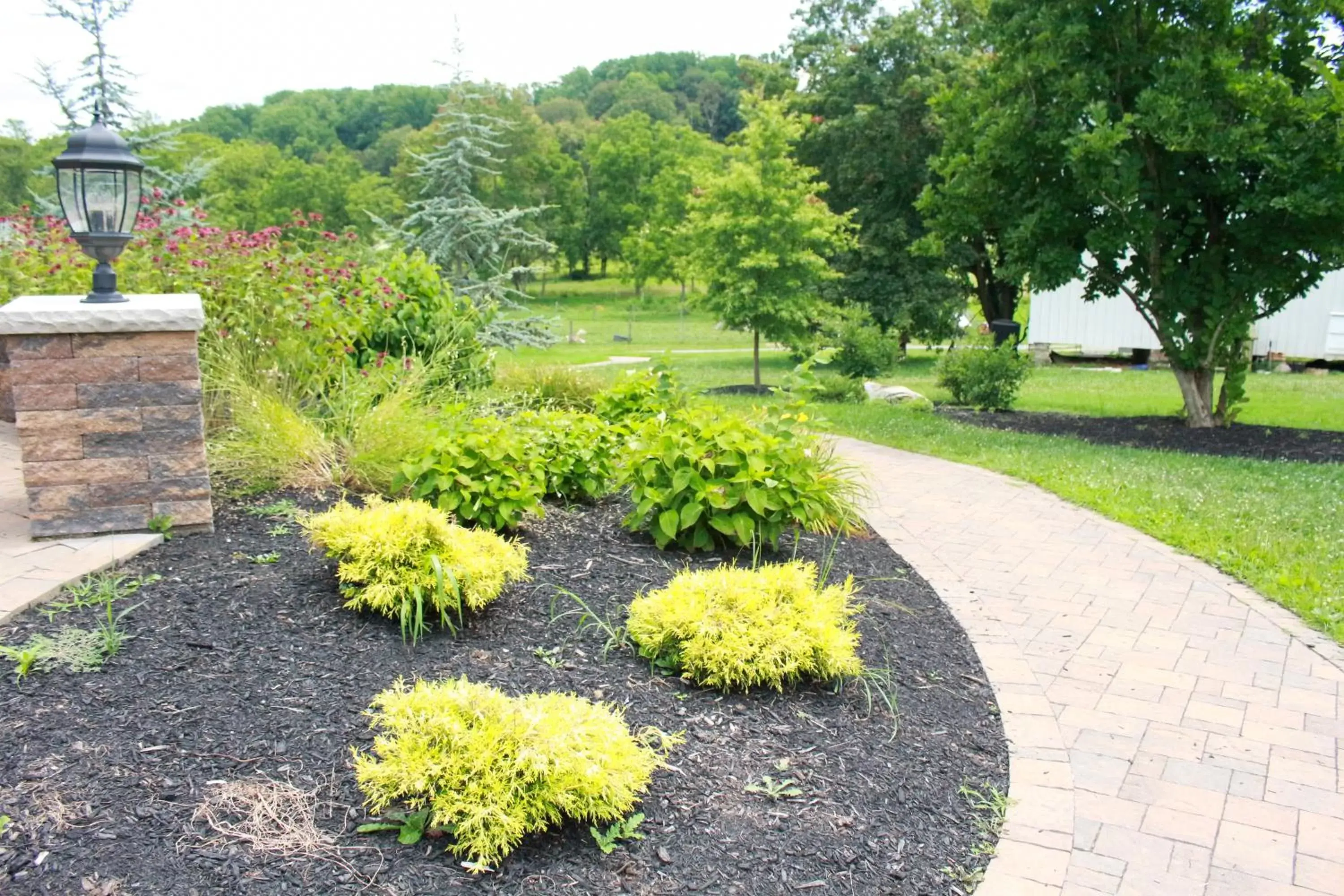 Garden in Mary's Land Farm