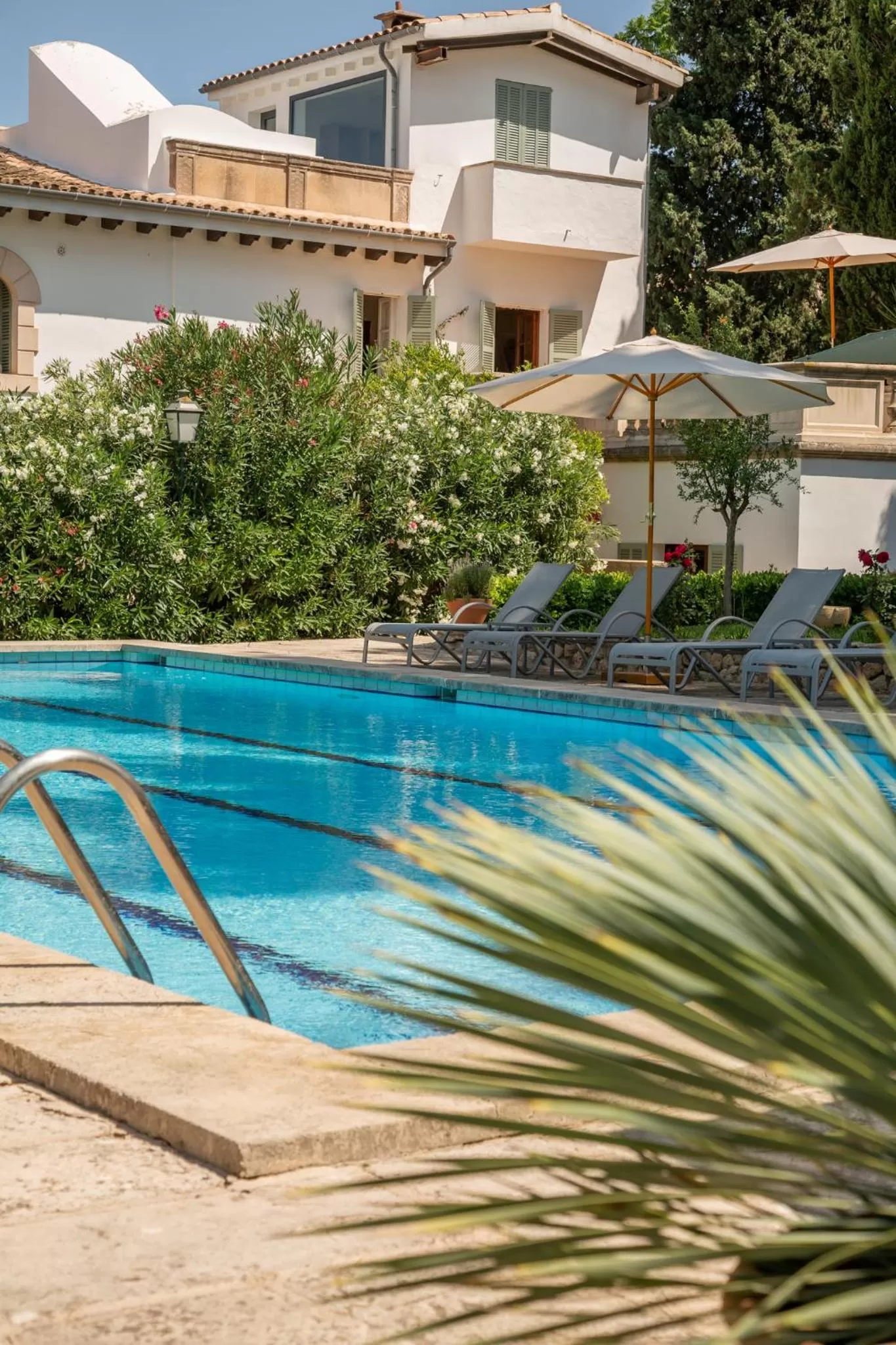 Swimming Pool in Can Moio Turismo de Interior