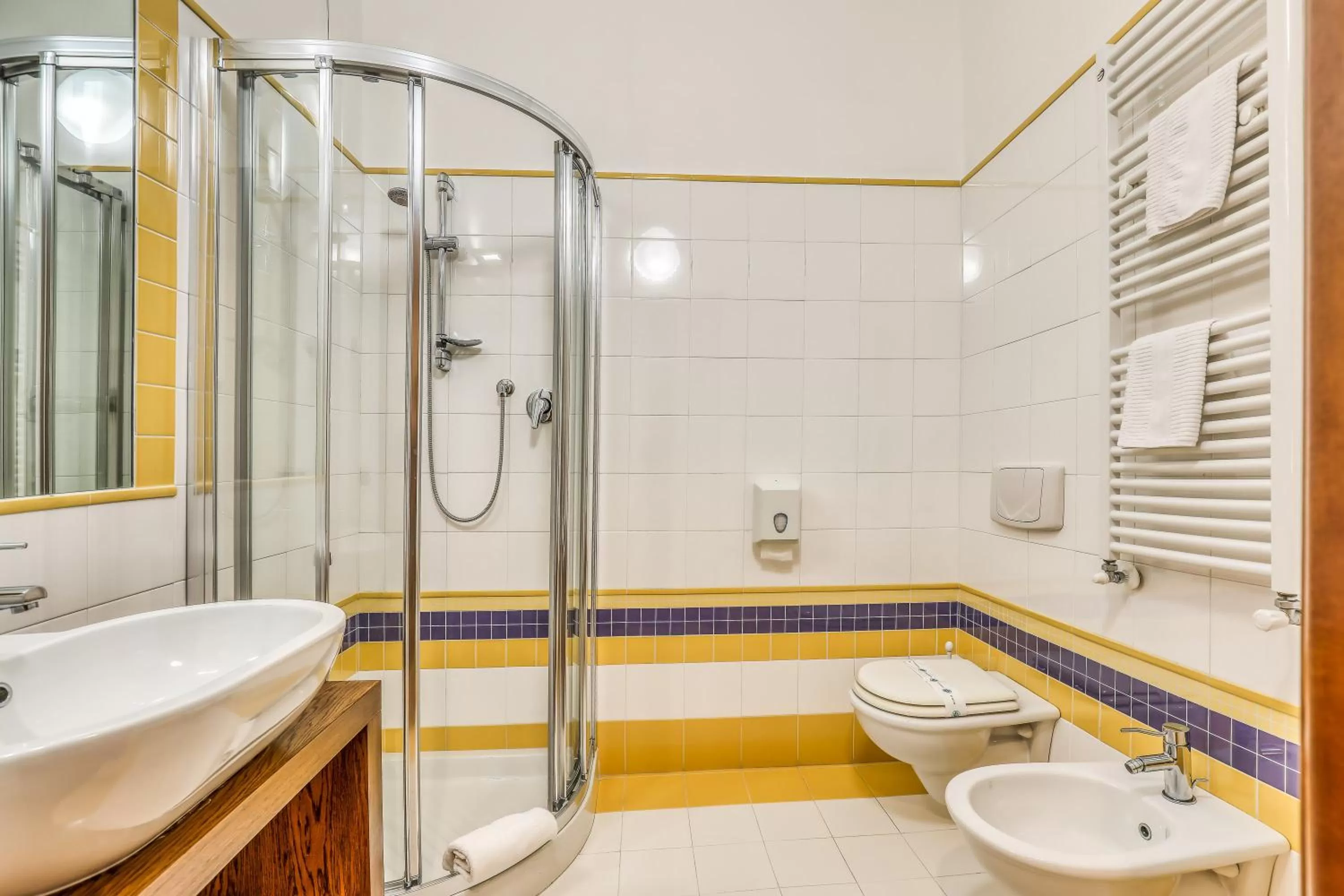 Shower in Hotel PentHouse