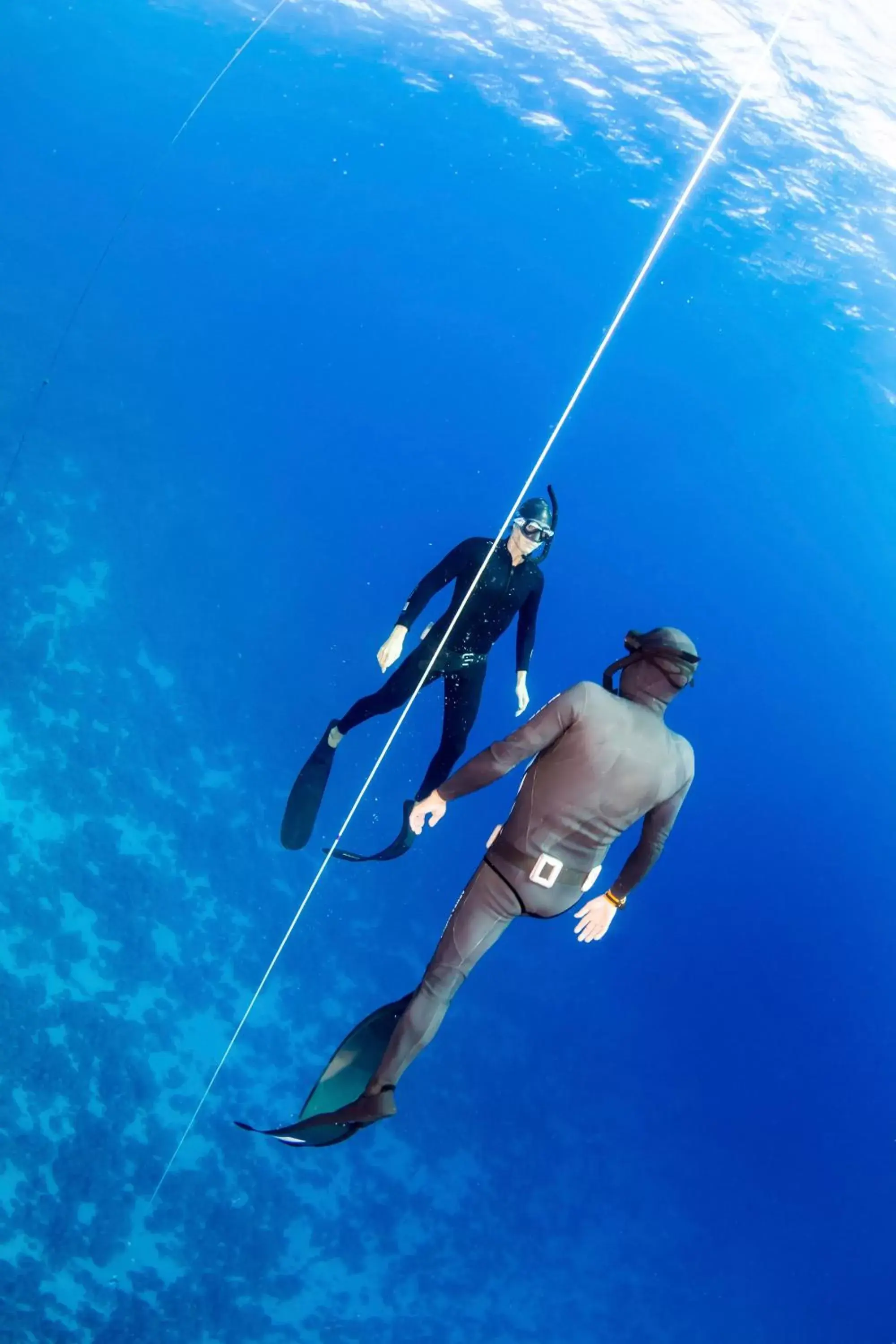 Diving in Robinson Soma Bay