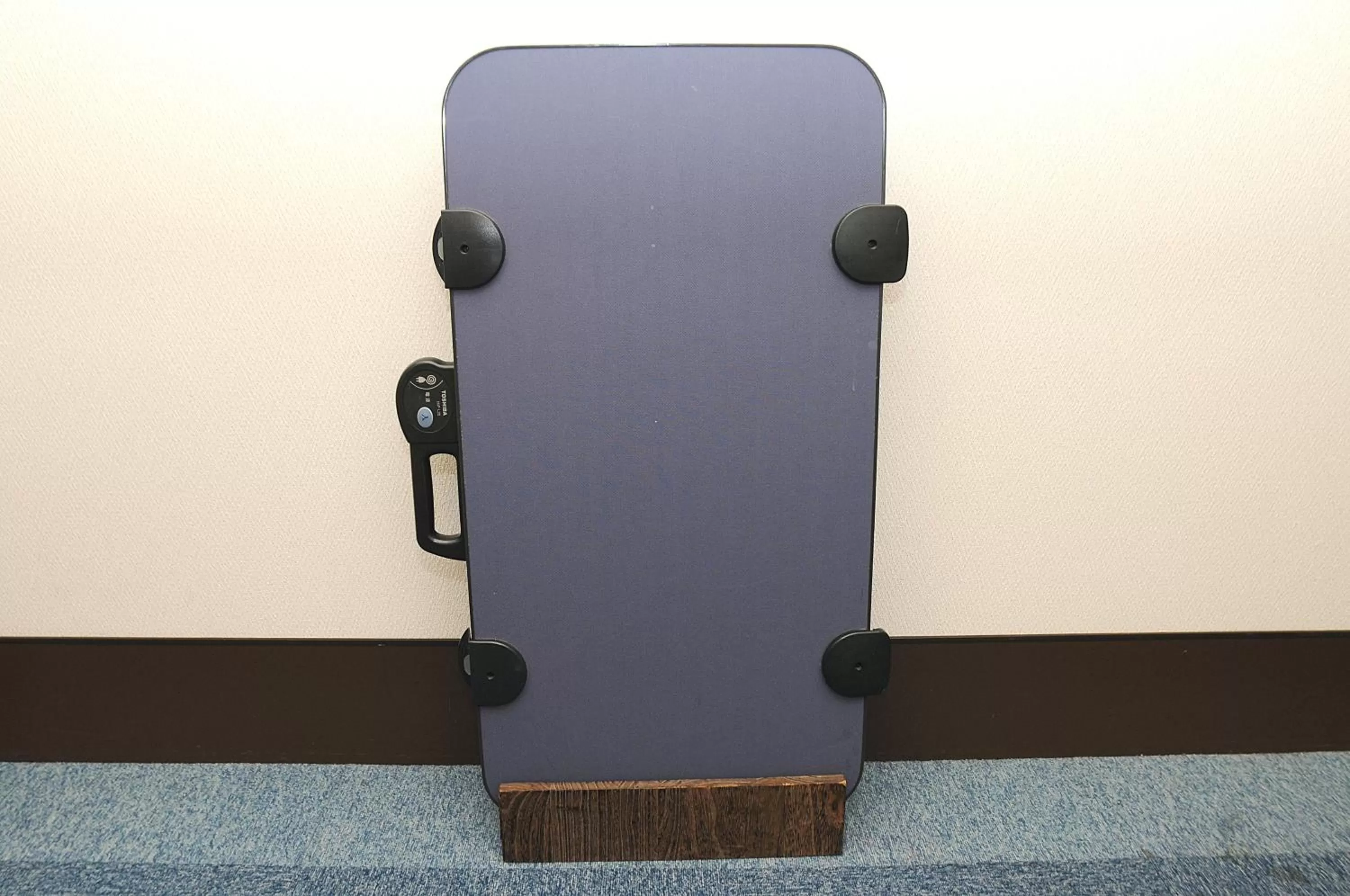 Decorative detail in Hotel Sunroute Hikone