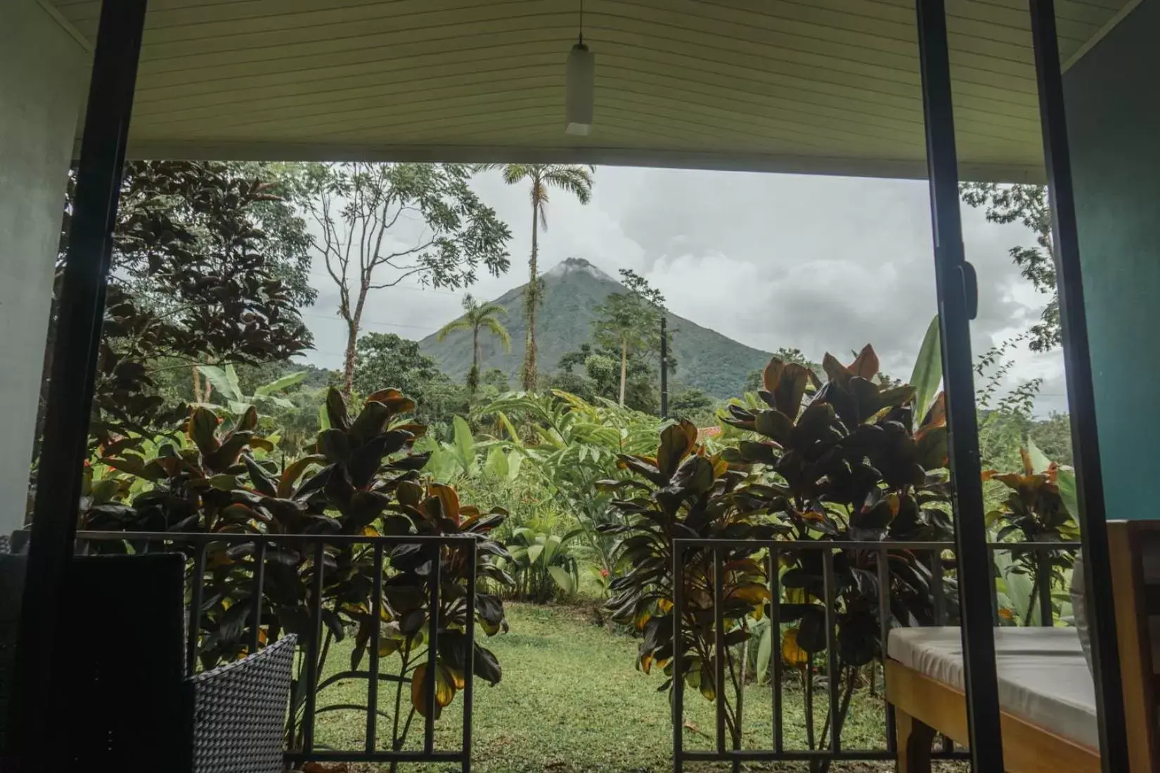 Garden view in Yellow Tree Suites