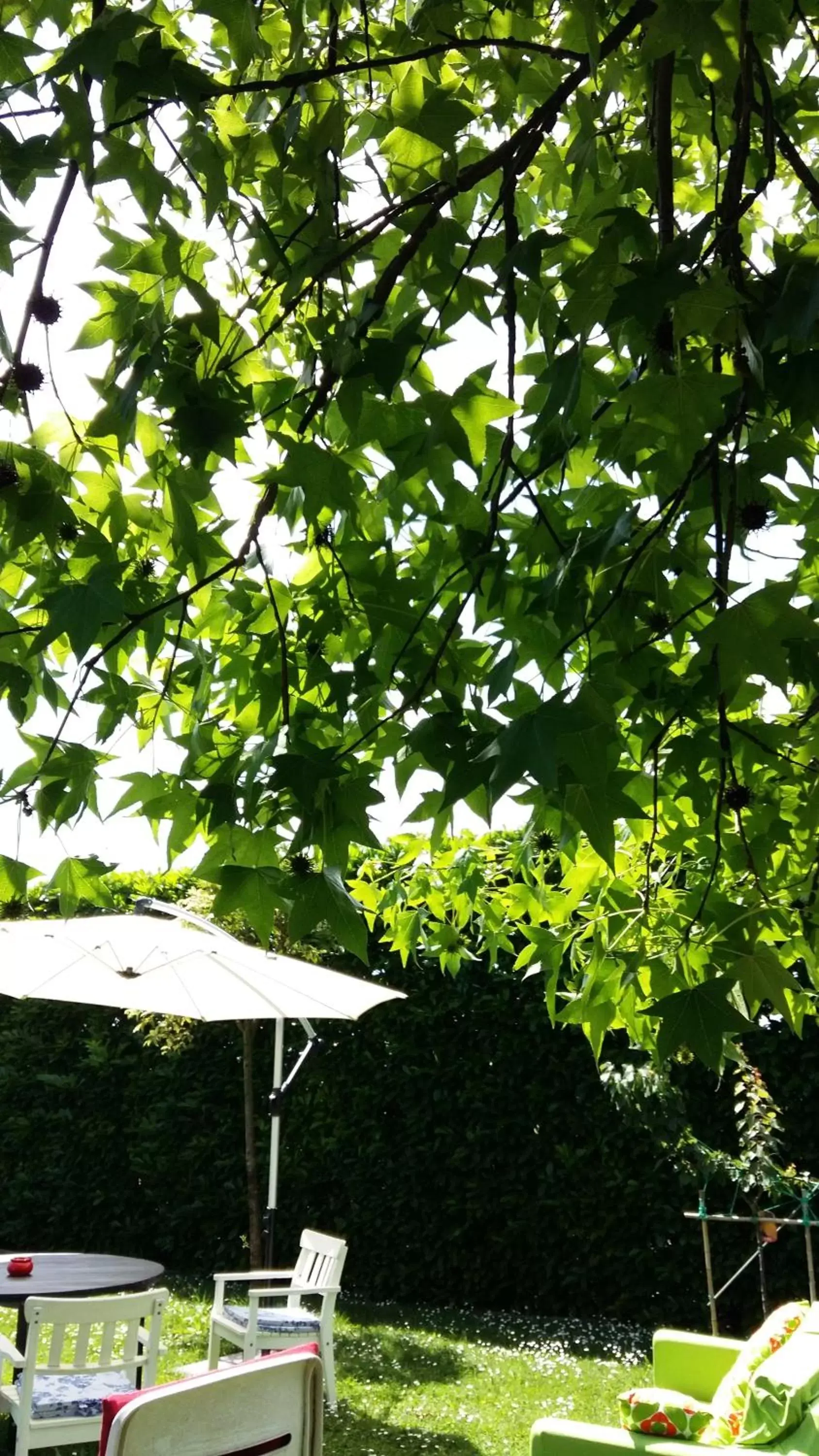 Patio, Garden in La Casa di Linda