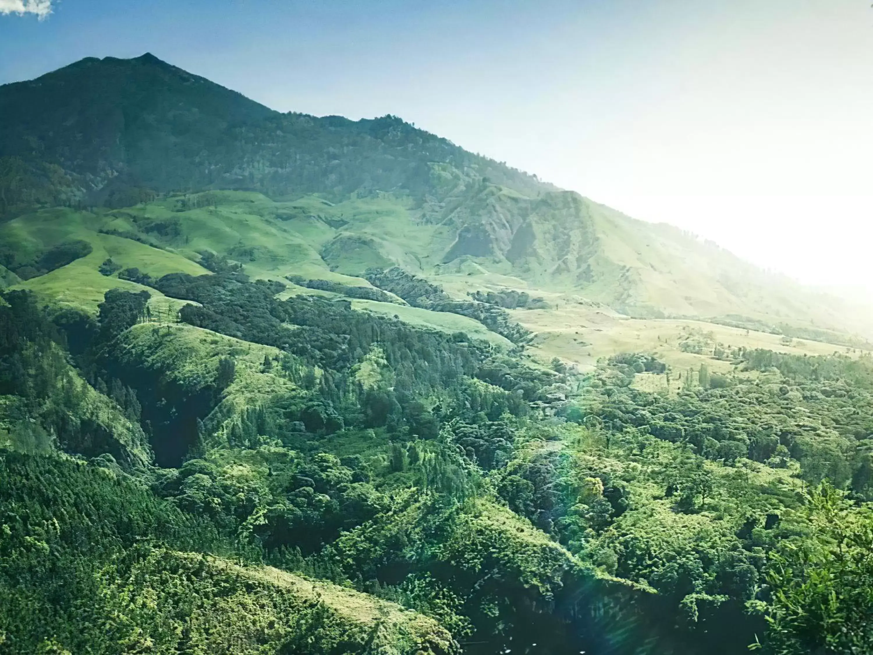 Mountain View in Grand Mercure Malang