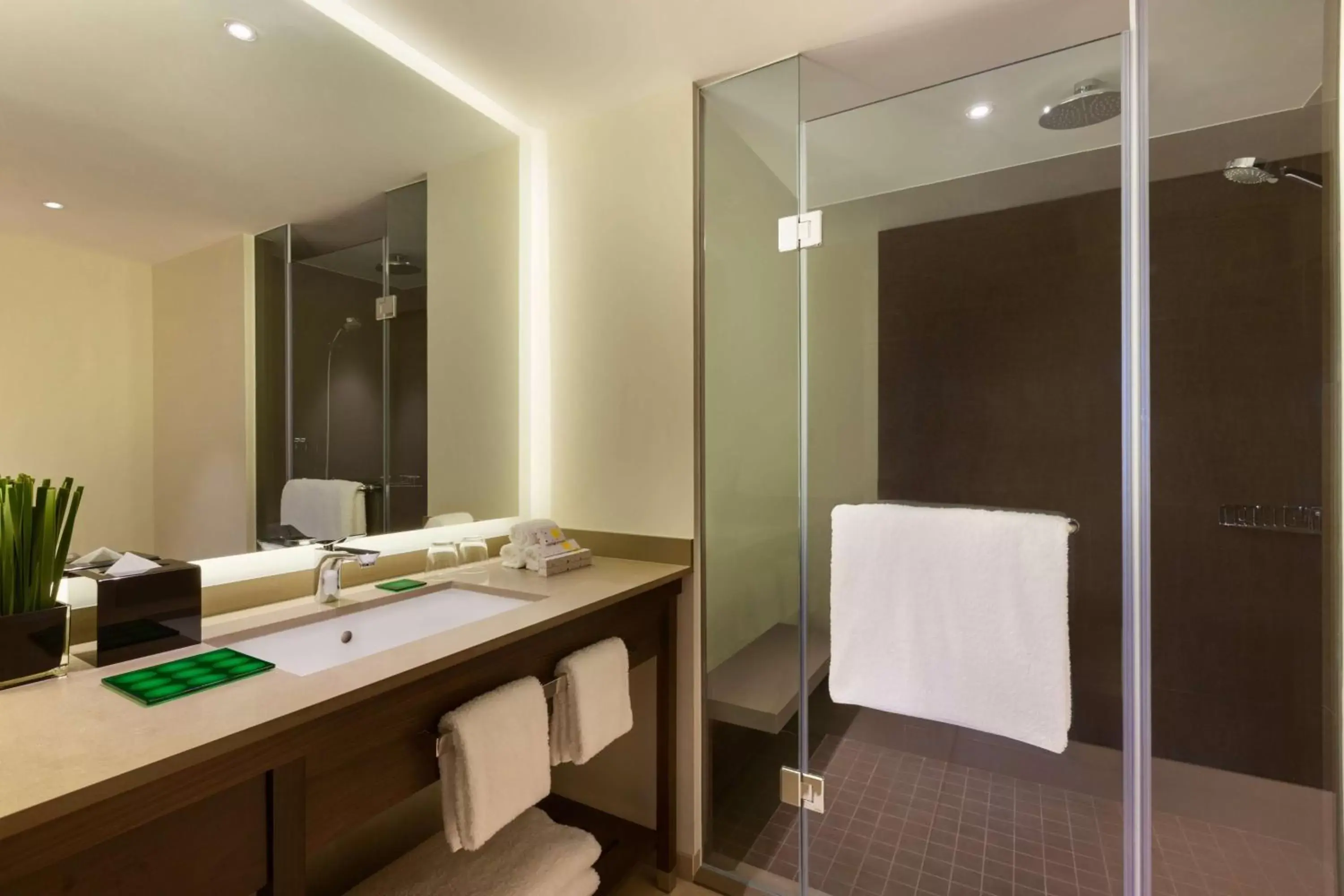 Photo of the whole room, Bathroom in Hyatt Place Shenzhen Dongmen