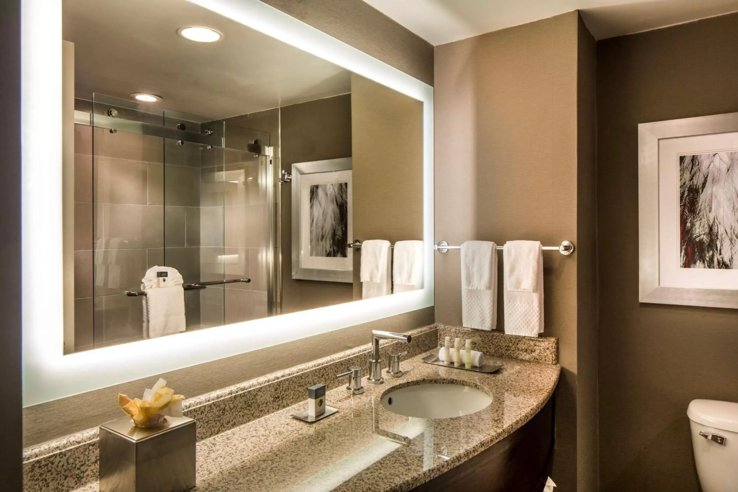 Bathroom in DoubleTree by Hilton Hotel Largo Washington DC