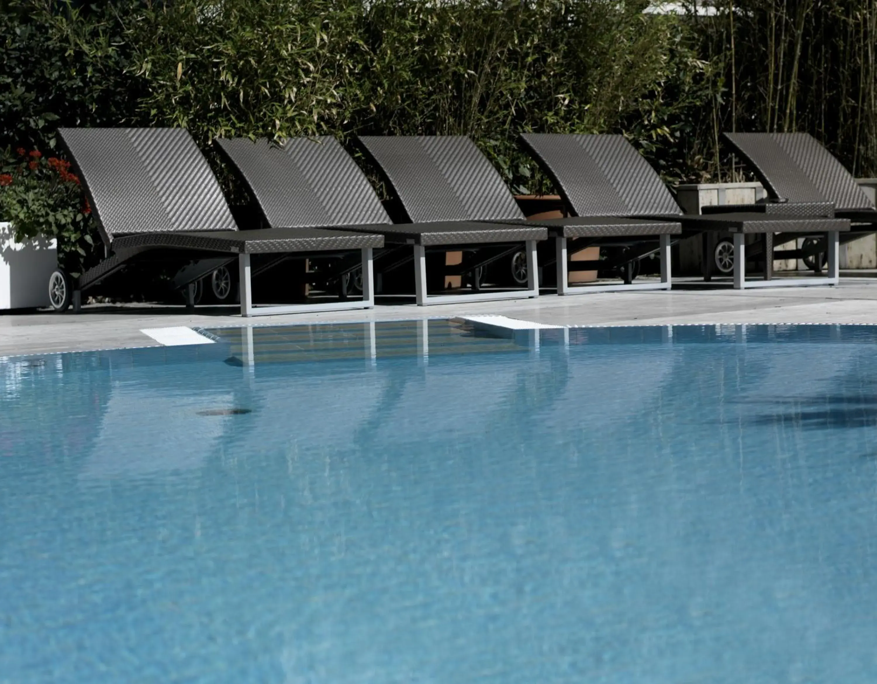 Swimming Pool in Hotel Feldberg