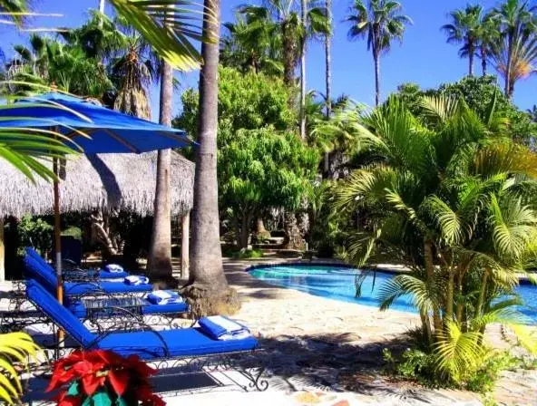 Swimming Pool in Hacienda Todos Los Santos