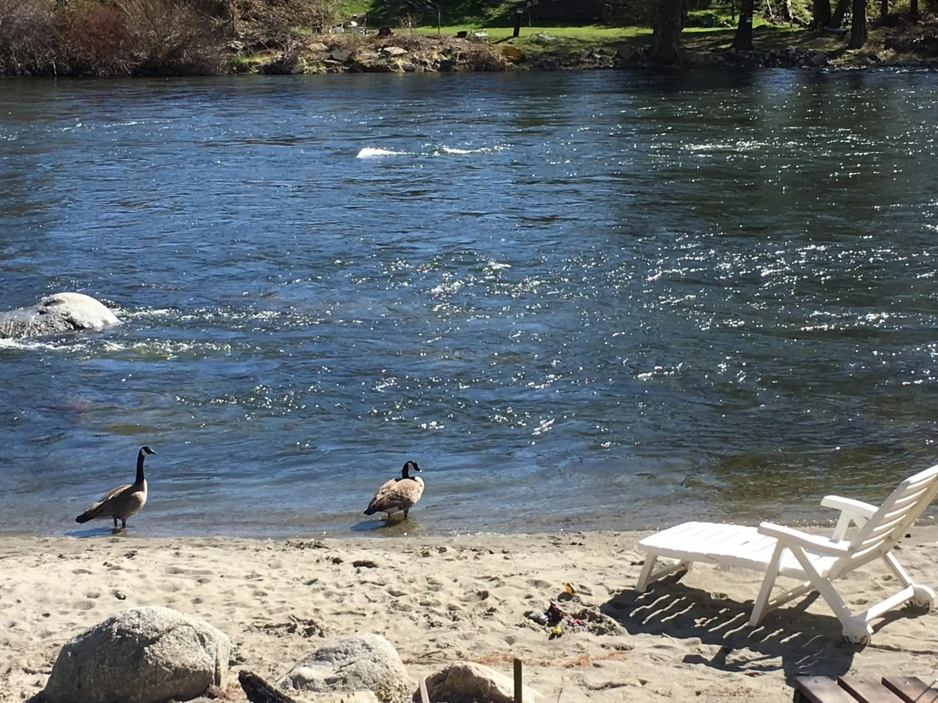 Beach in River's Edge Lodge