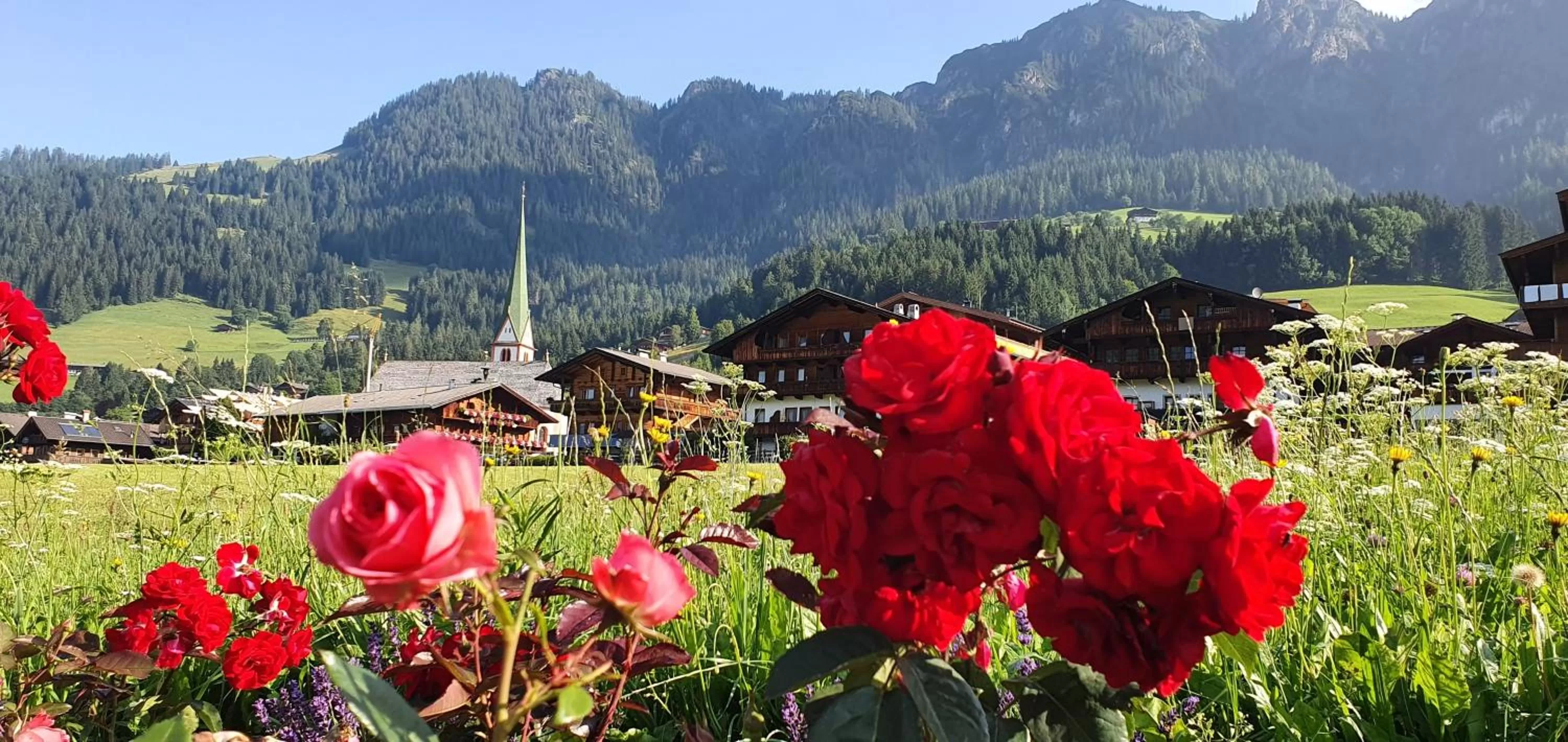 Garden, Mountain View in Natur & Spa Resort "Der Alpbacherhof" Superior