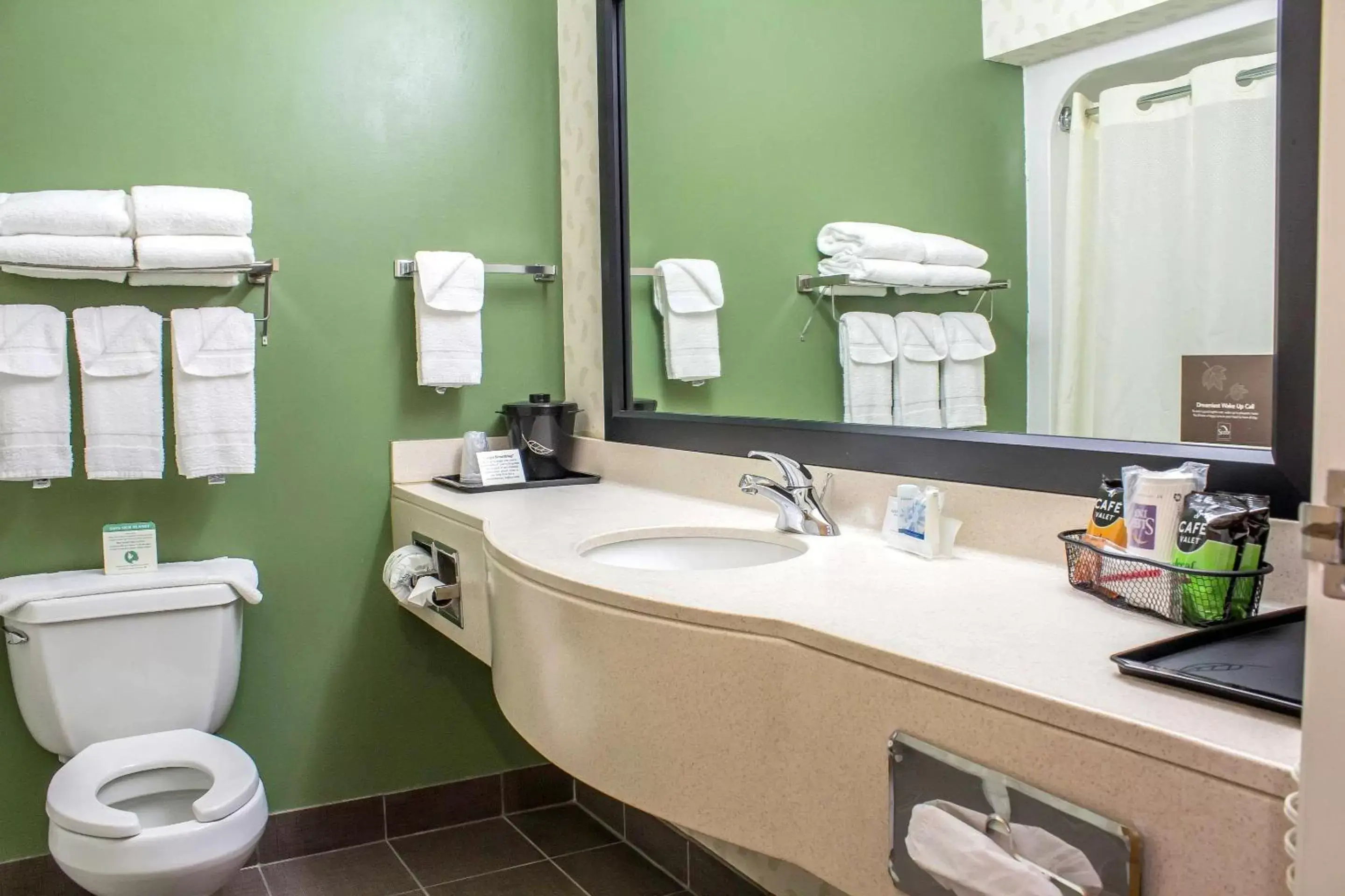 Bathroom in Sleep Inn & Suites Charles City
