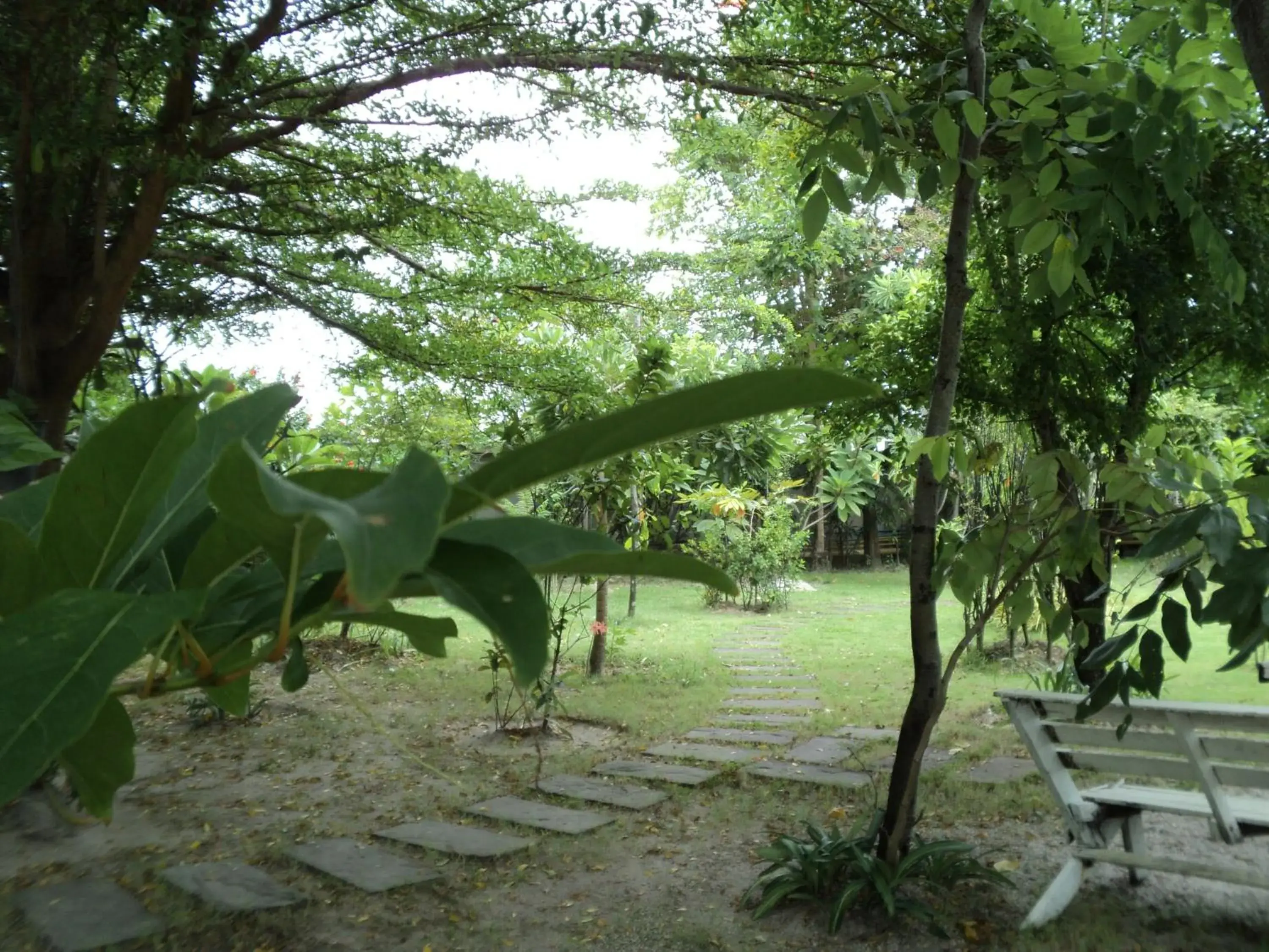 Garden in Chomdao Hotel