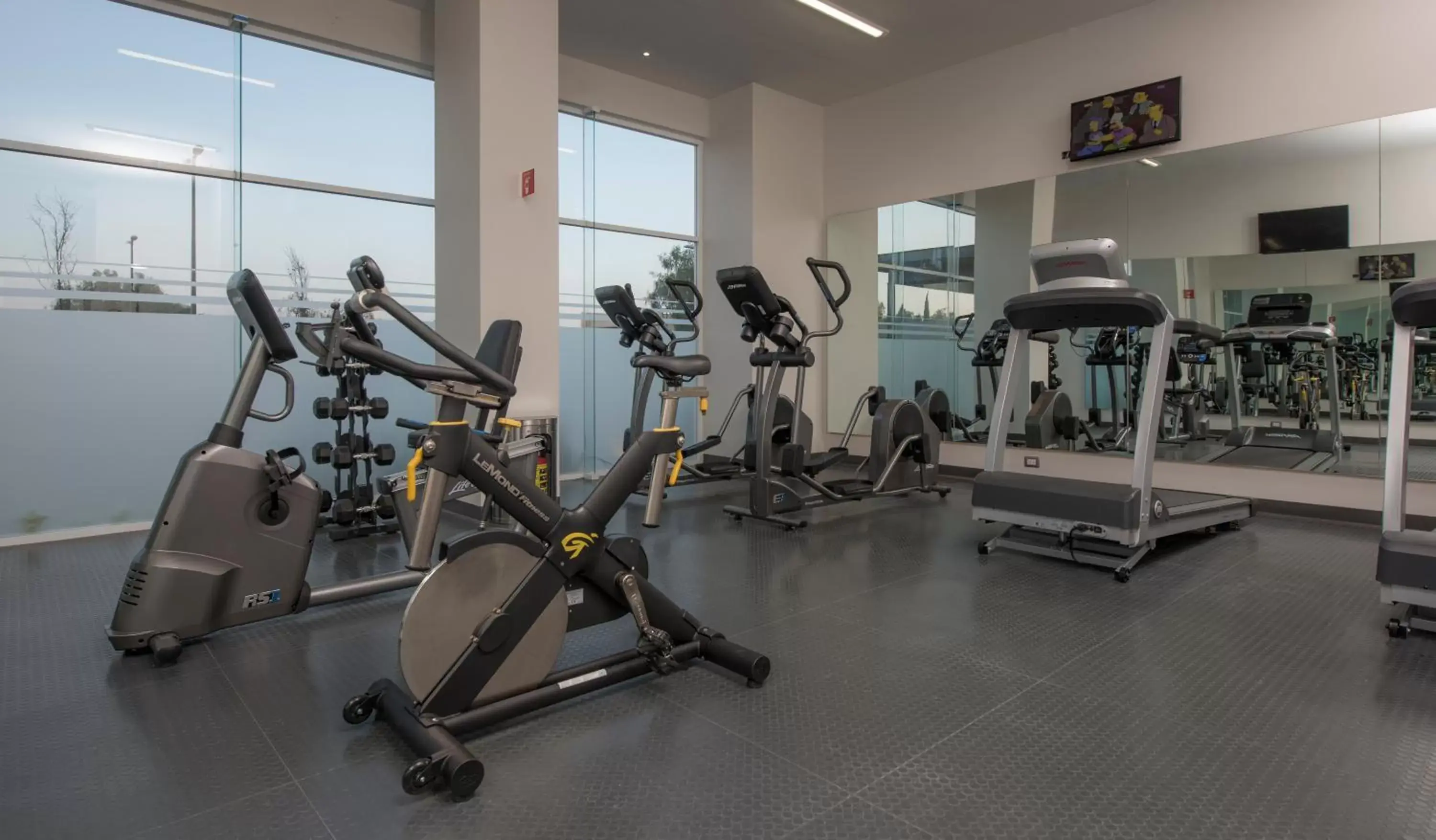 Fitness centre/facilities, Fitness Center/Facilities in Microtel Inn & Suites by Wyndham Irapuato