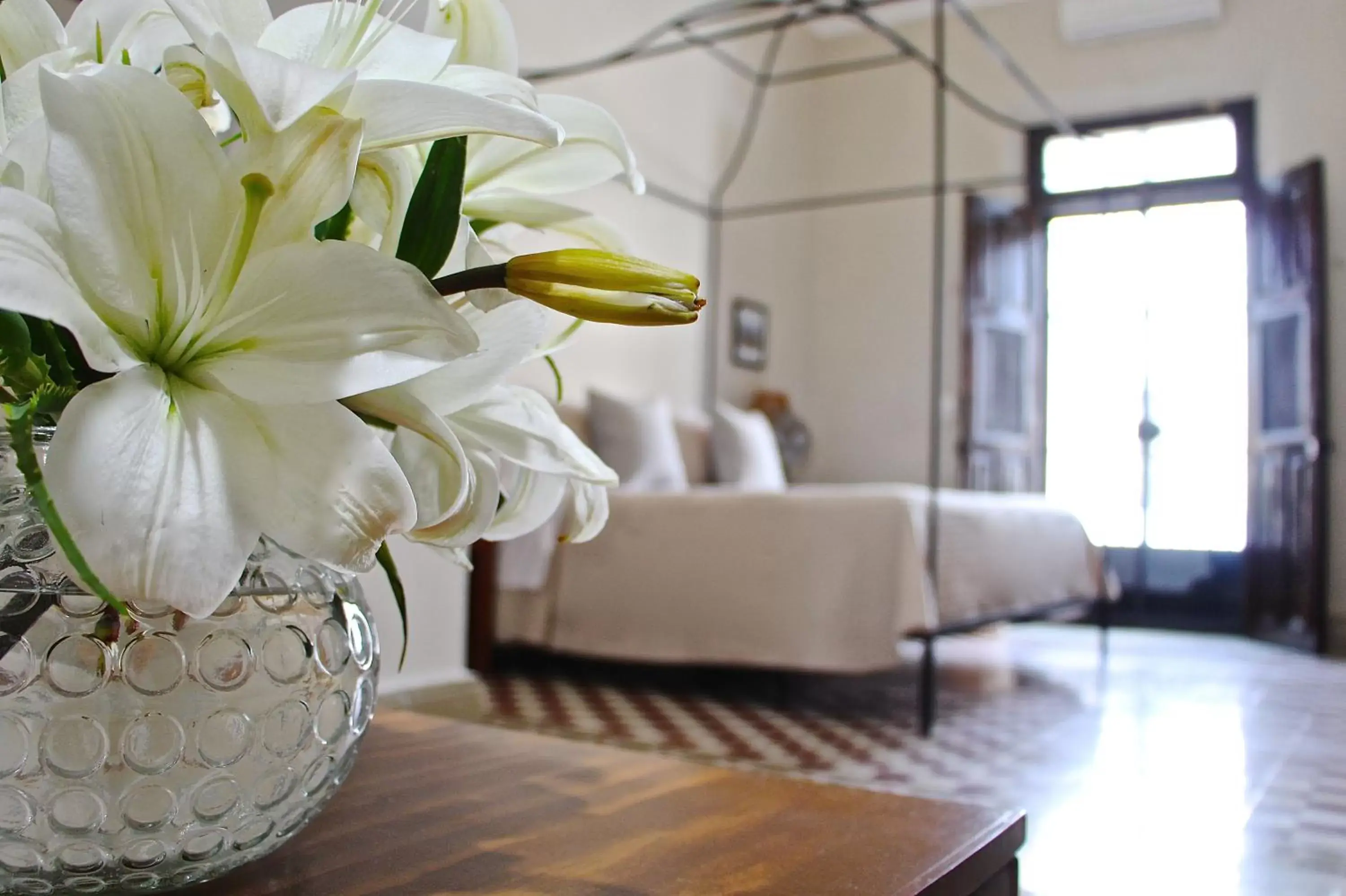 Classic Suite in The Diplomat Boutique Hotel Classic Suite in The Diplomat Boutique Hotel