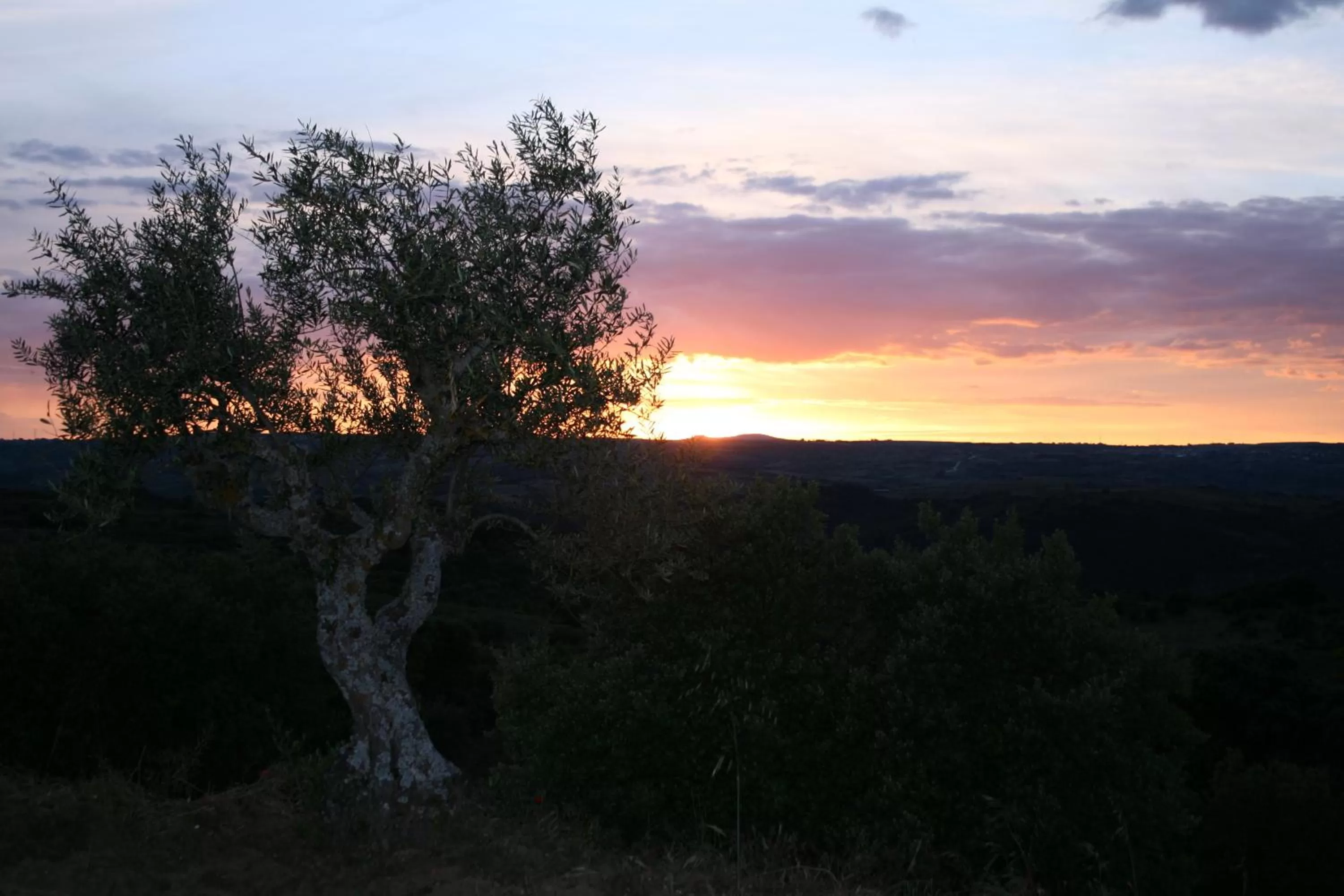 Nearby landmark in Hotel Rural La Enoteca del Marques