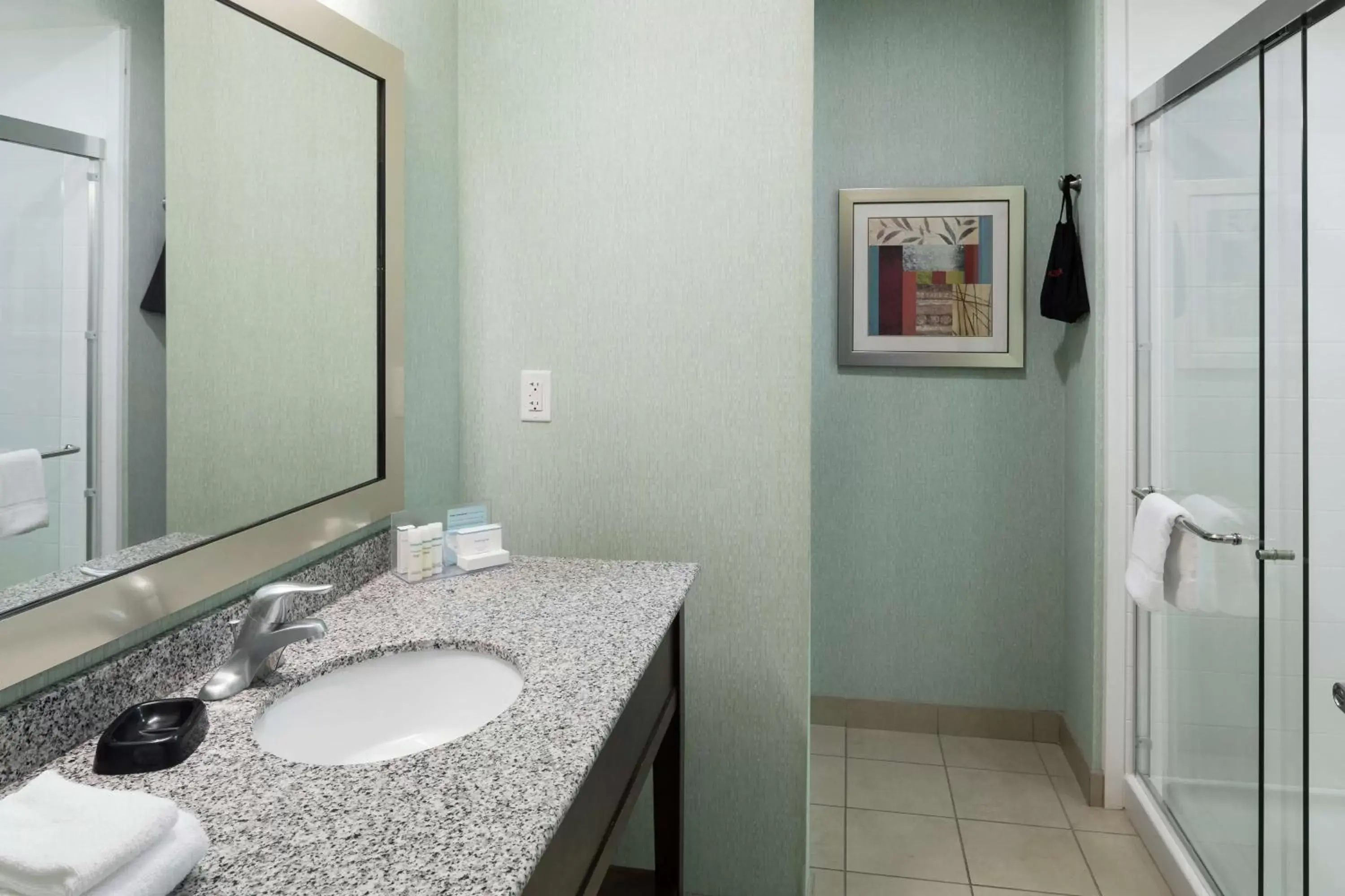 Bathroom in Hampton Inn & Suites Huntsville Research Park Area