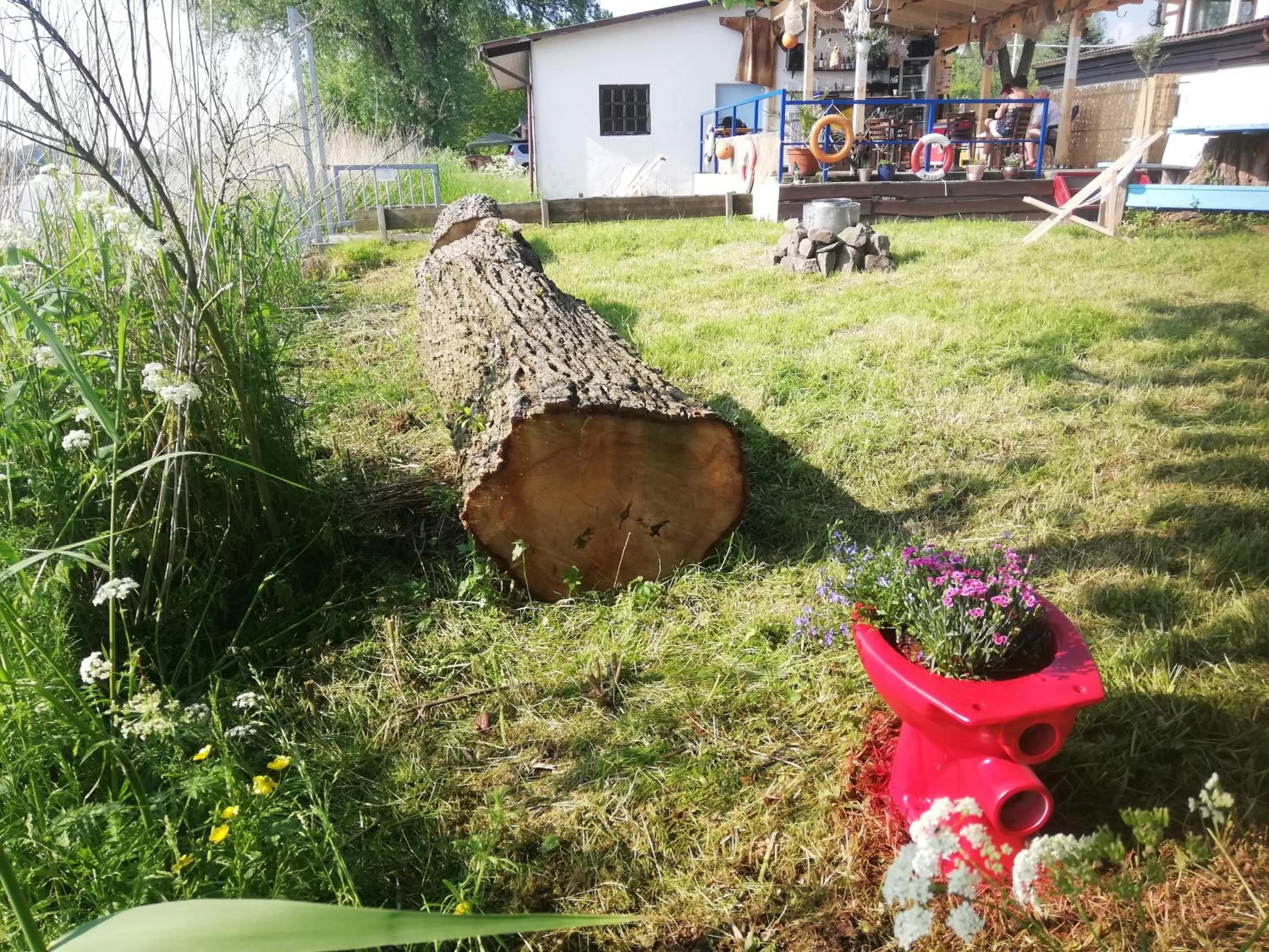 Garden in Seefahrer Musik- & Kreativhotel