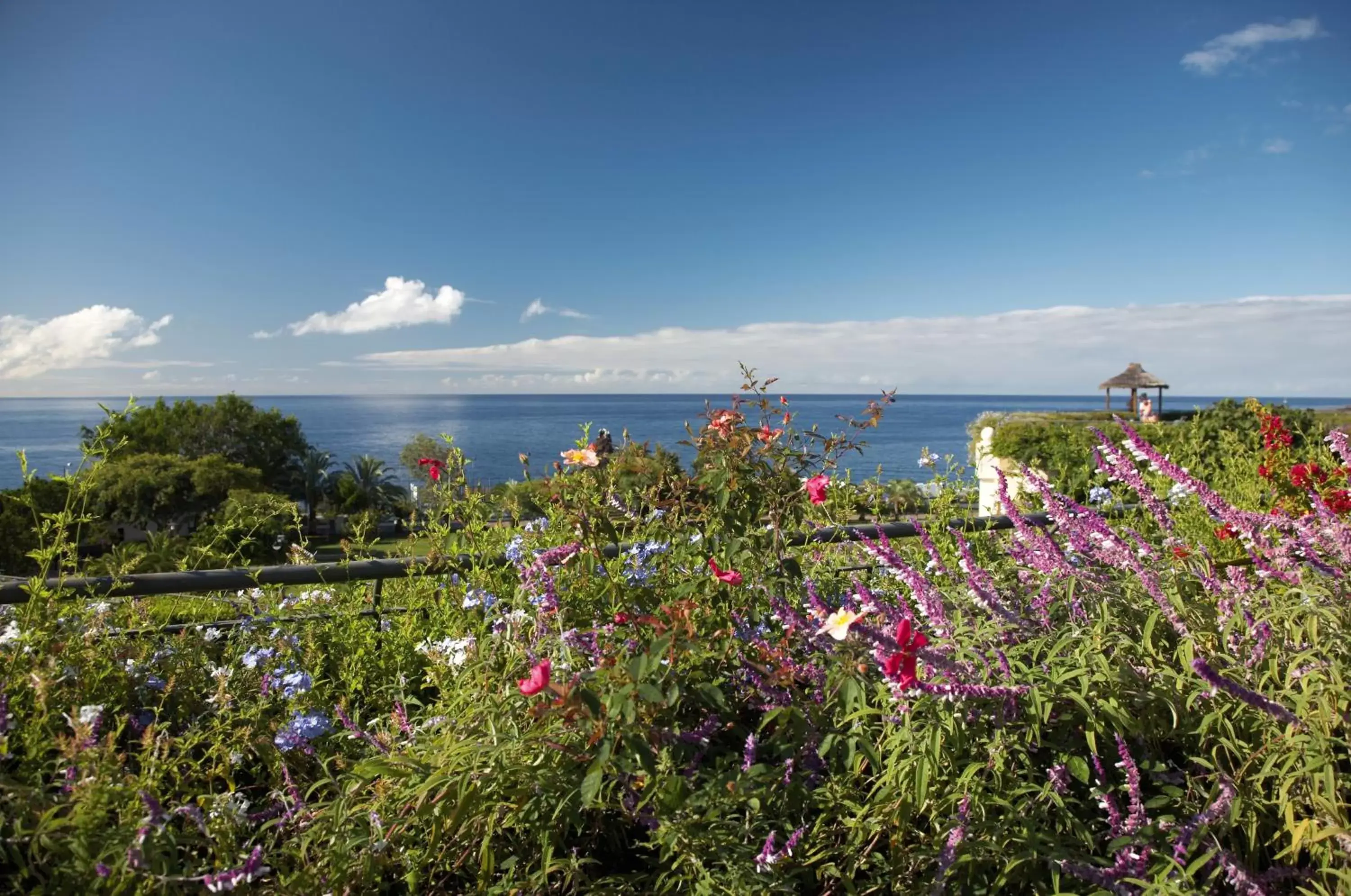 Garden in Hotel Porto Mare - PortoBay