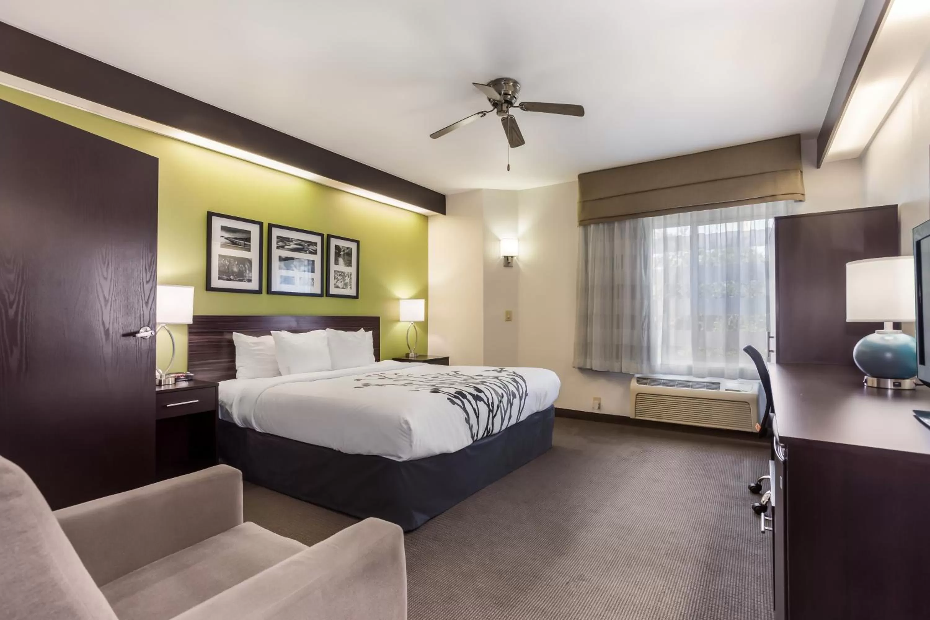 Photo of the whole room, Bed in Sleep Inn Little River - North Myrtle Beach