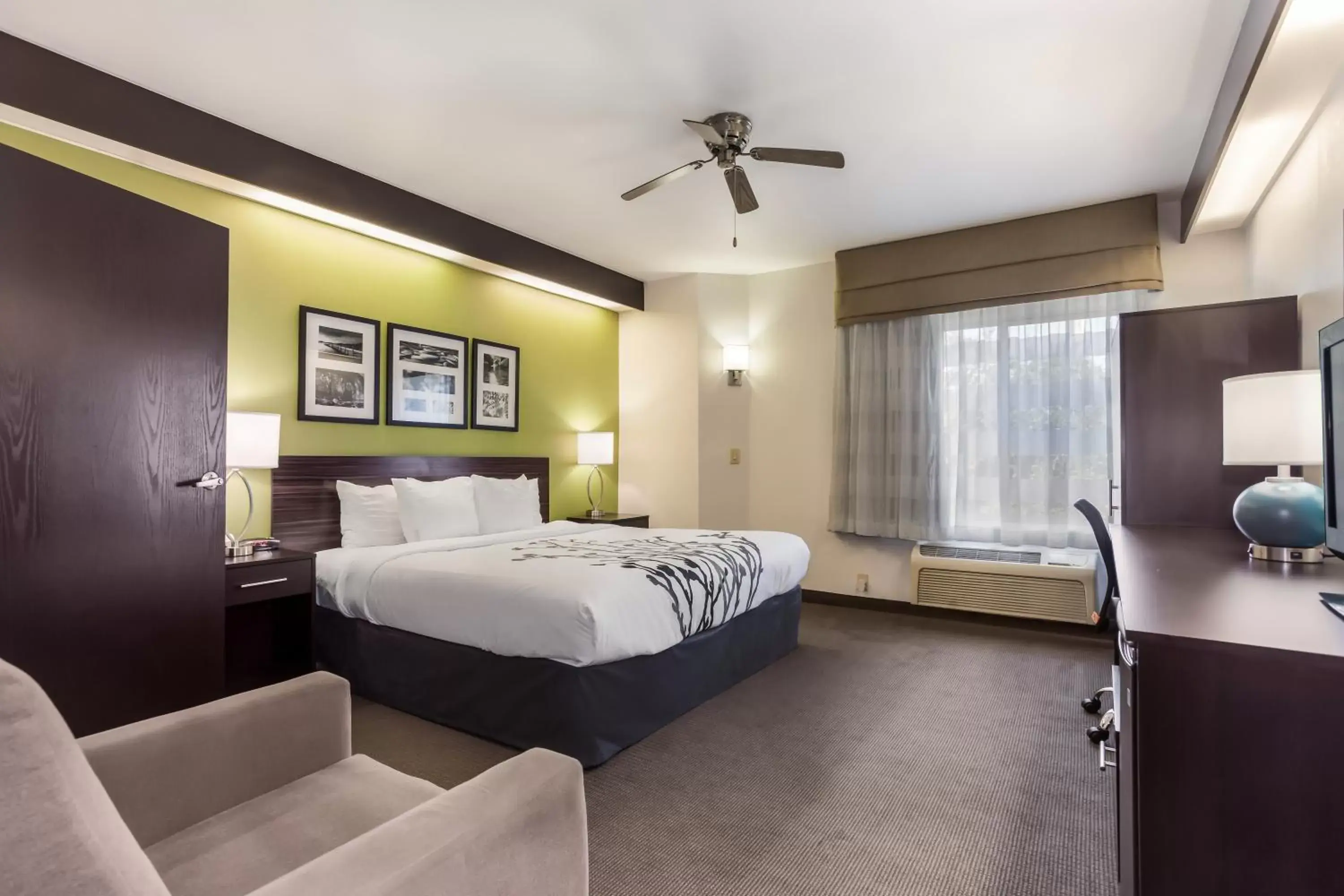 Photo of the whole room, Bed in Sleep Inn Little River - North Myrtle Beach Photo of the whole room, Bed in Sleep Inn Little River - North Myrtle Beach