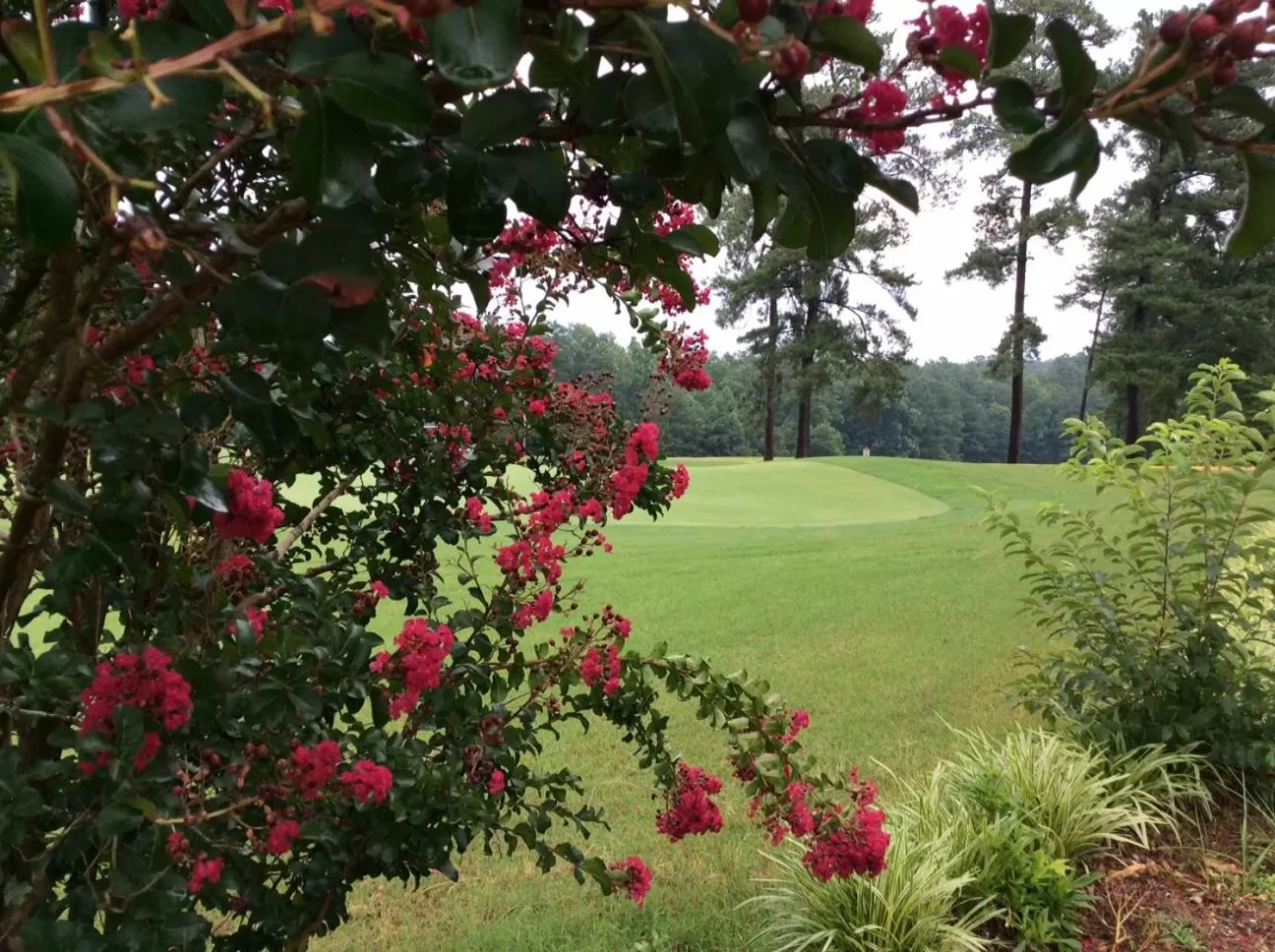 The Inn at Houndslake