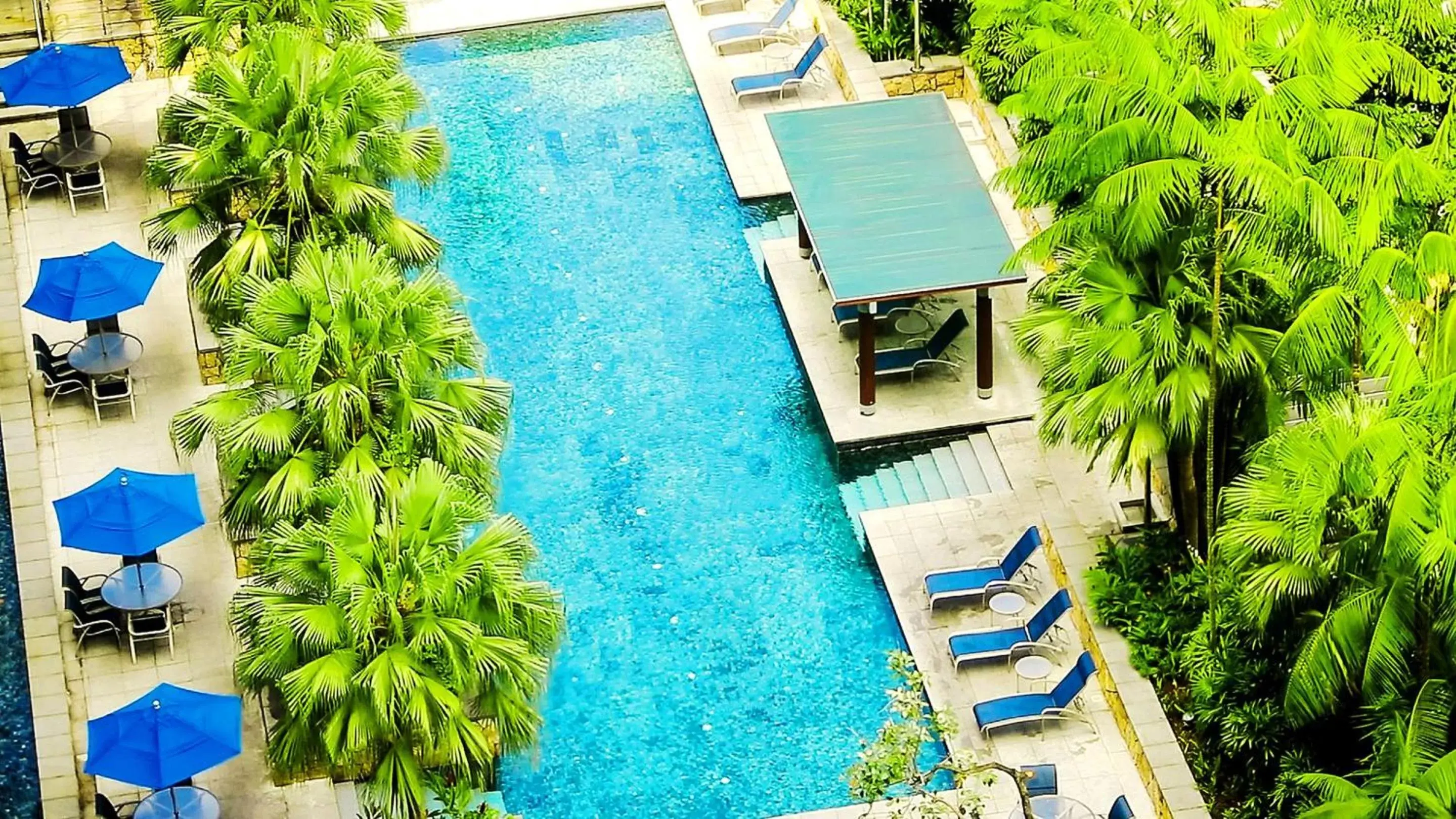 Swimming pool, Pool View in Amara Singapore