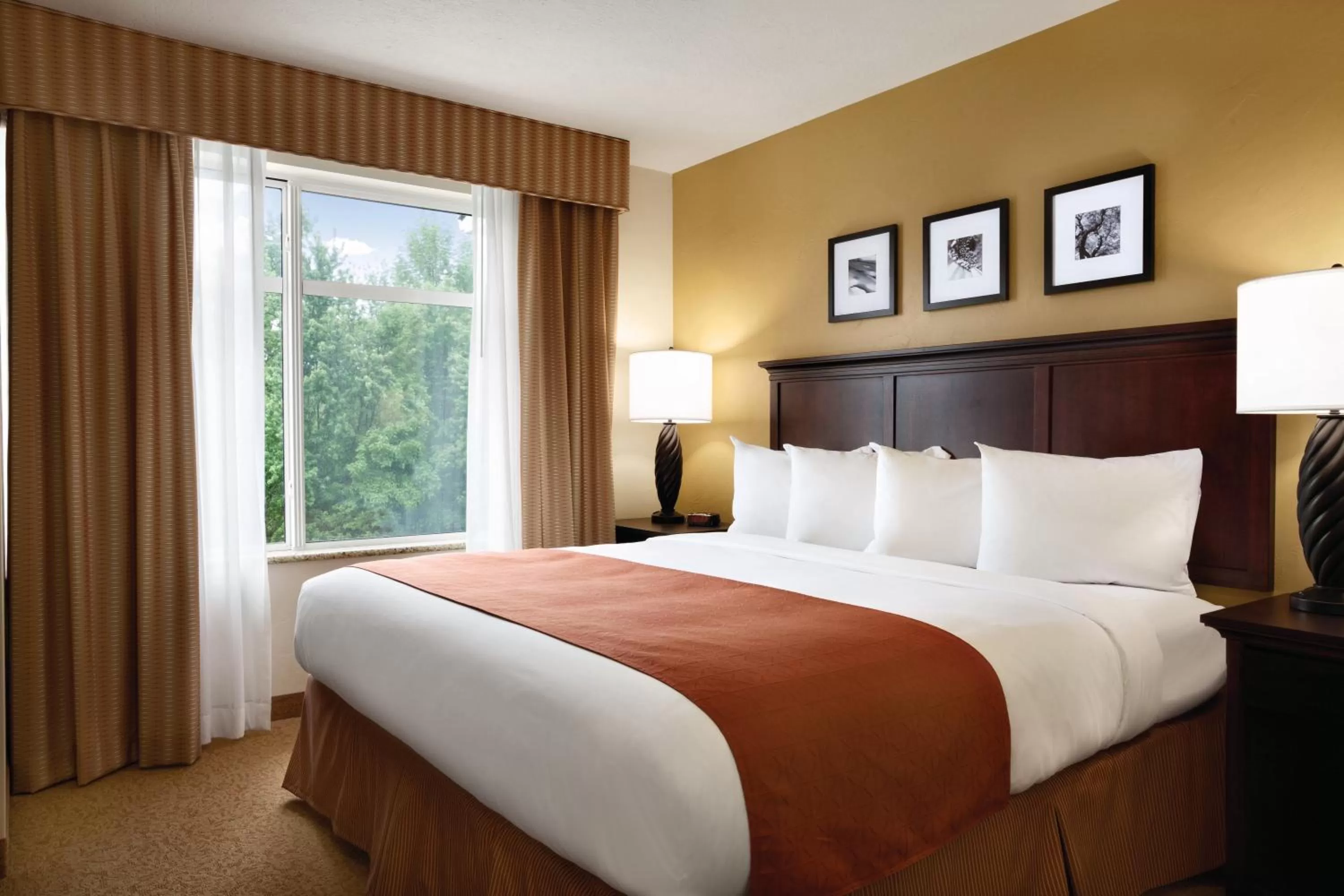 King Room with Roll In Shower - Disability Access/Non-Smoking in Country Inn & Suites by Radisson, Ashland - Hanover, VA