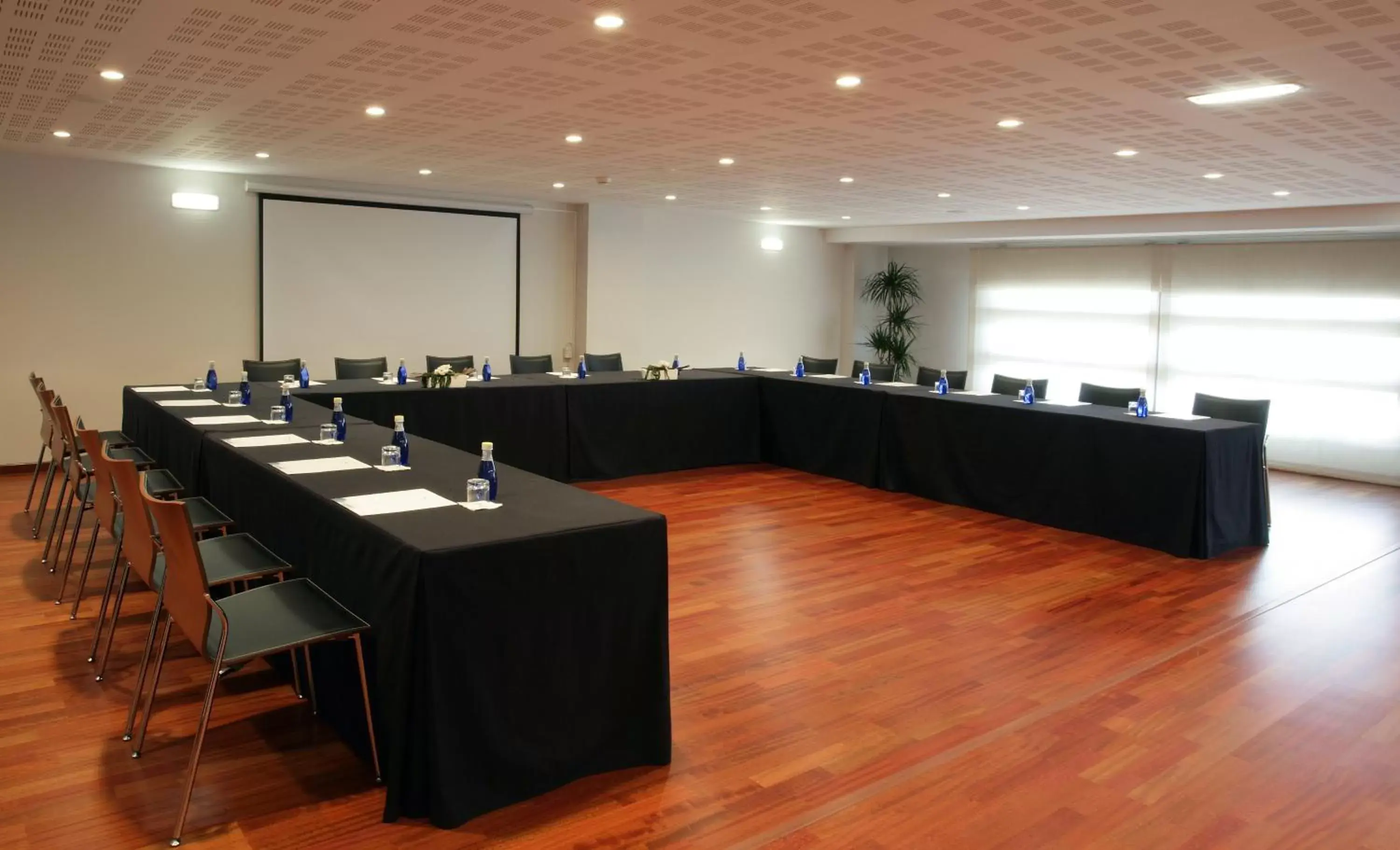 Business facilities in Hotel Europa